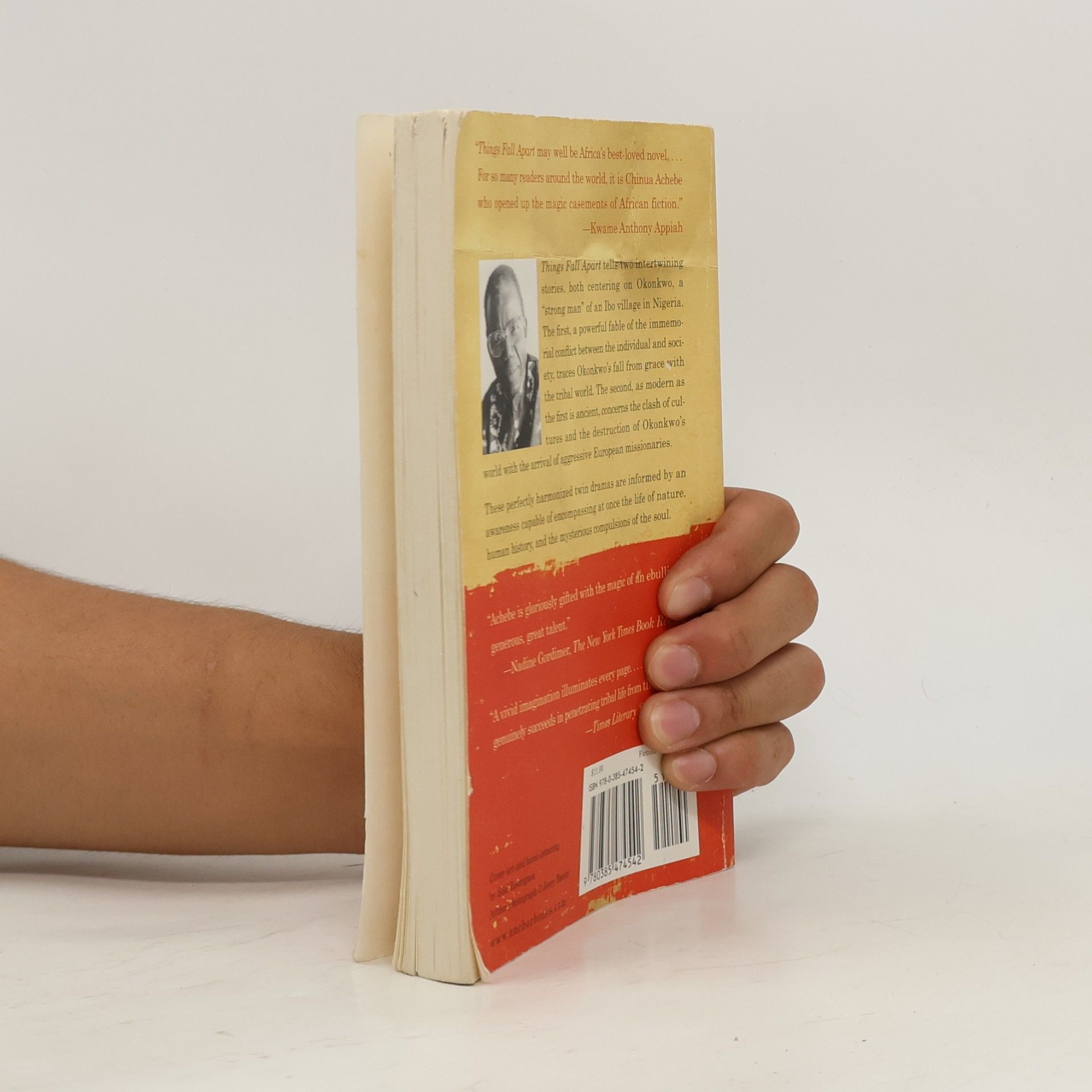 Chinua Achebe Things fall apart