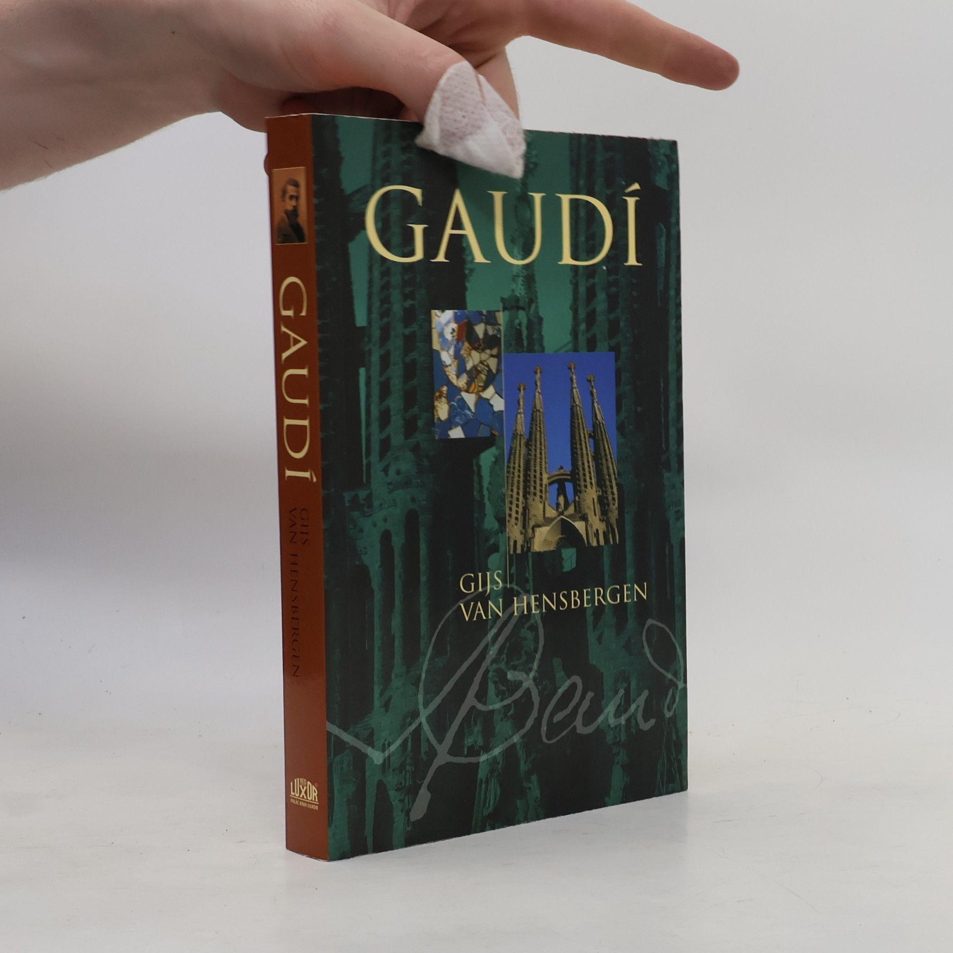 Gijs van Hensbergen Gaudí