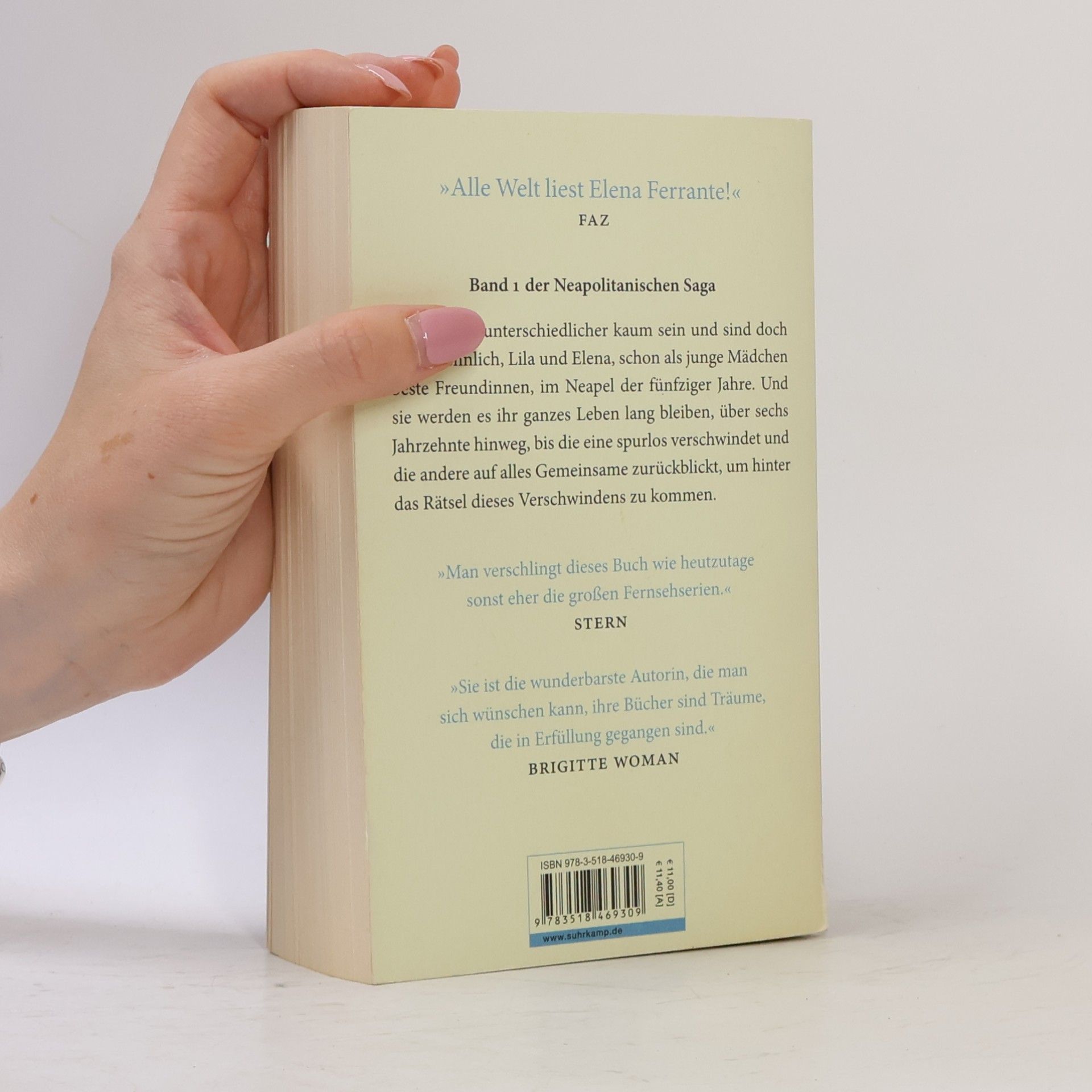 Elena Ferrante Meine geniale Freundin