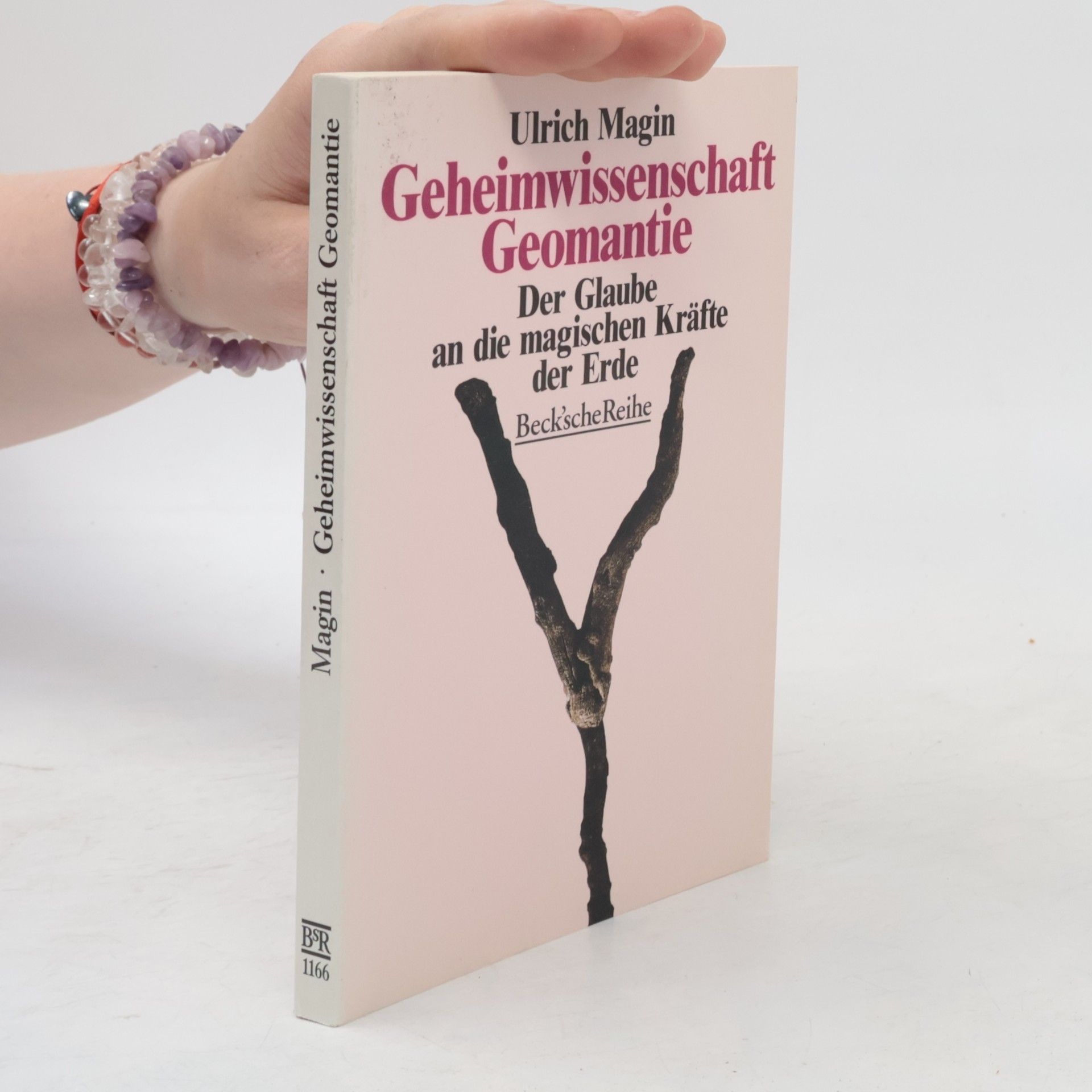 Ulrich Magin Beck'sche Reihe - 1166: Geheimwissenschaft Geomantie