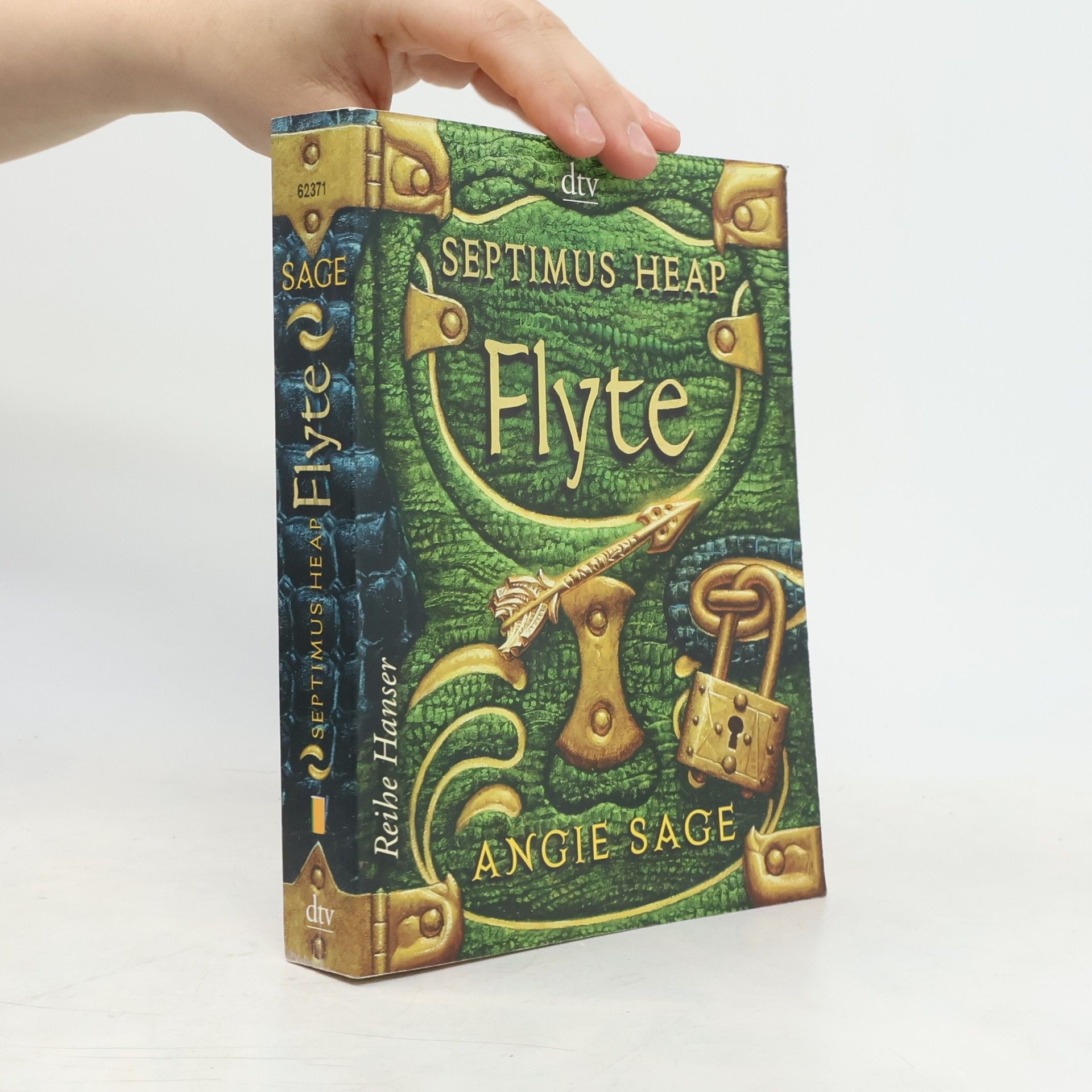 Angie Sage Septimus Heap: Flyte