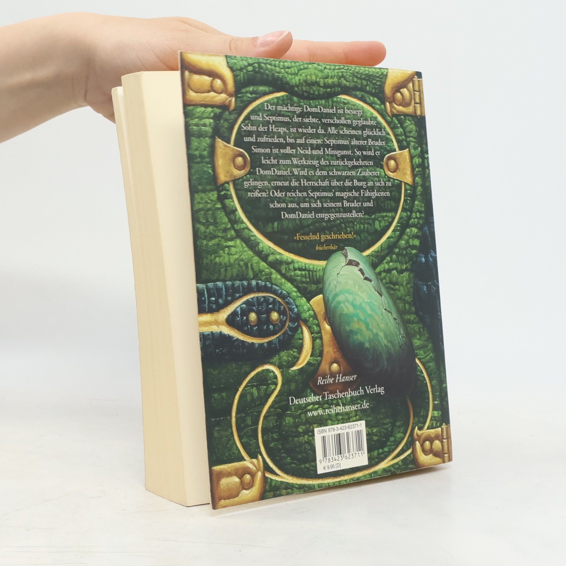 Angie Sage Septimus Heap: Flyte