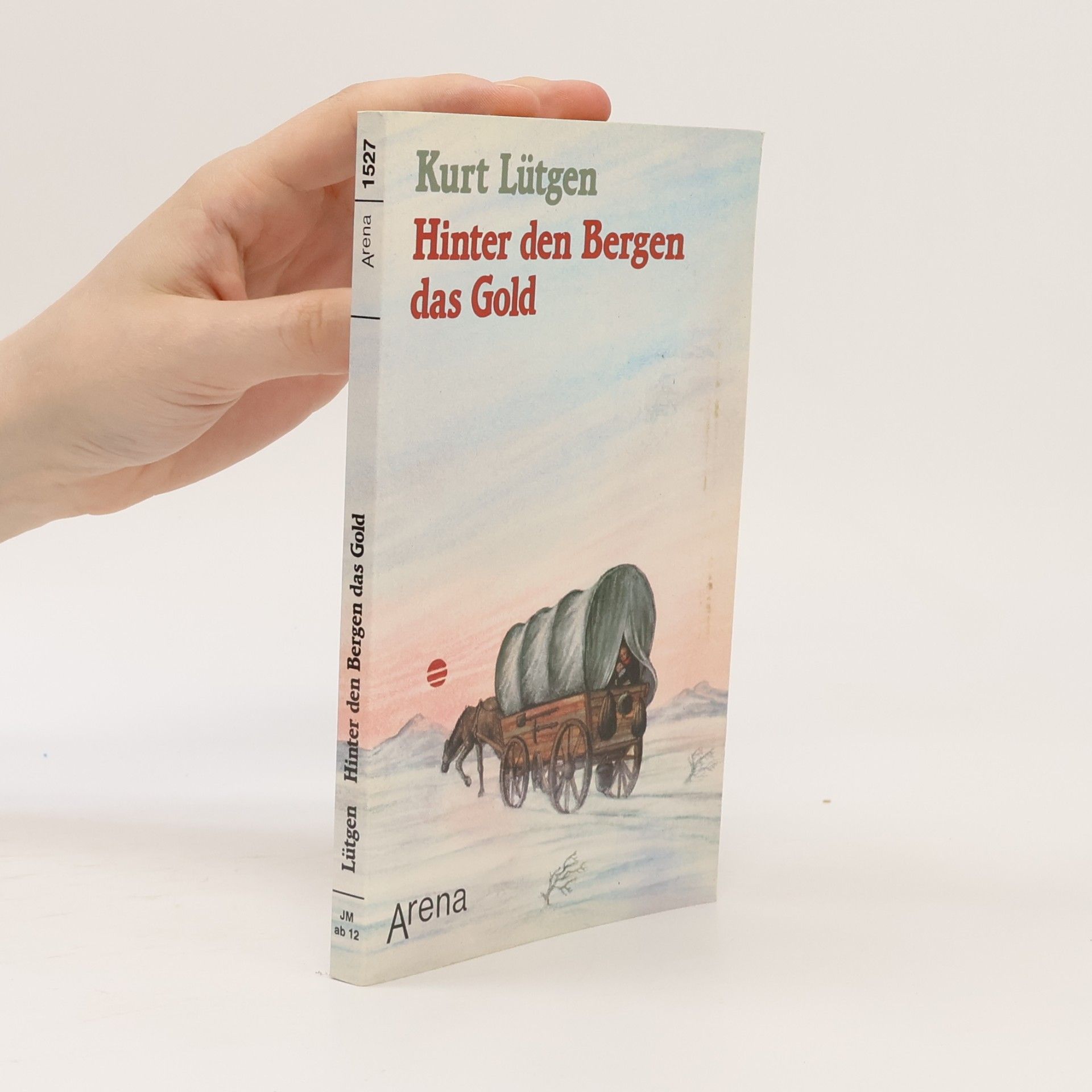 Arena Taschenbücher: Hinter den Bergen das Gold