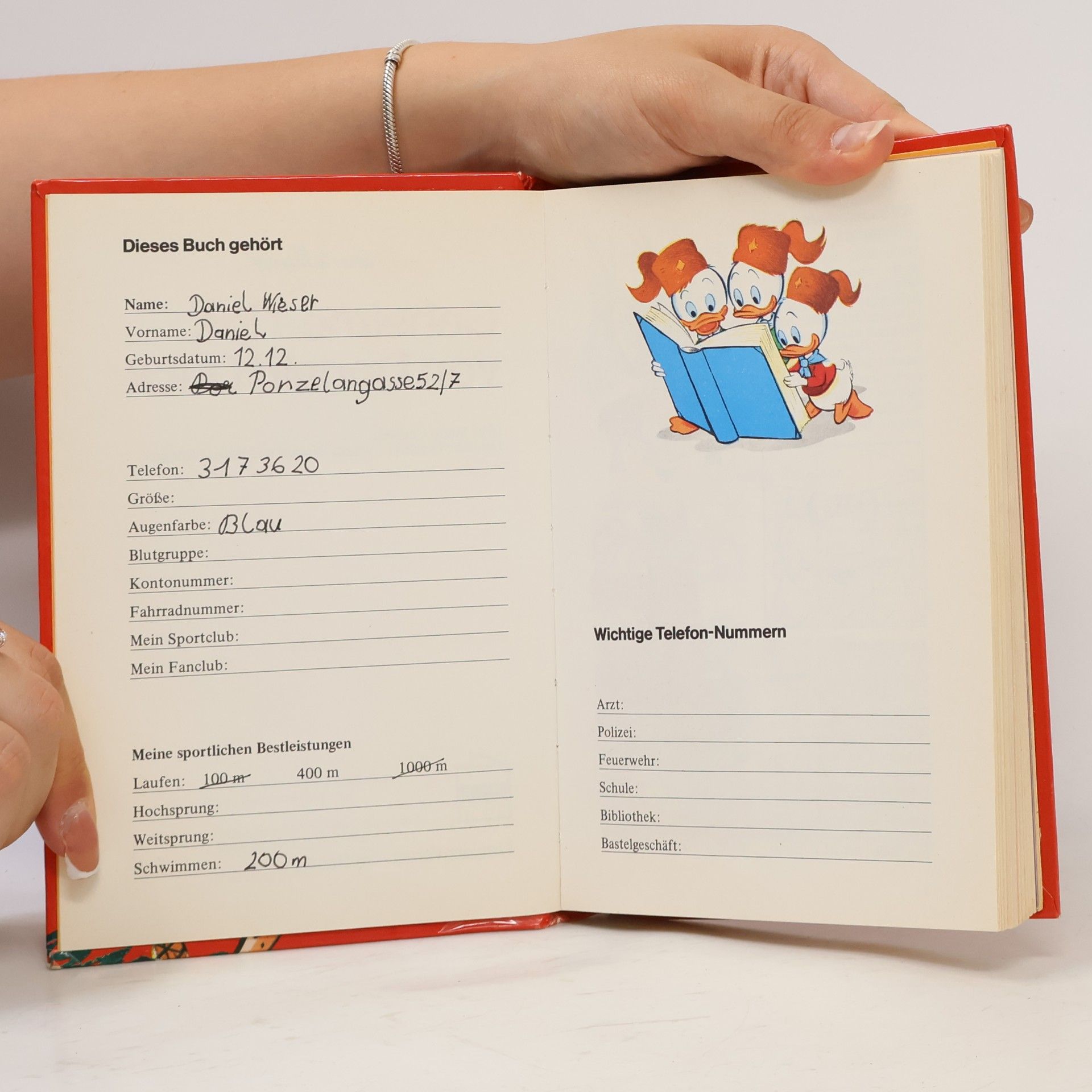 Walt Disney Geheime Tips von Donald Duck
