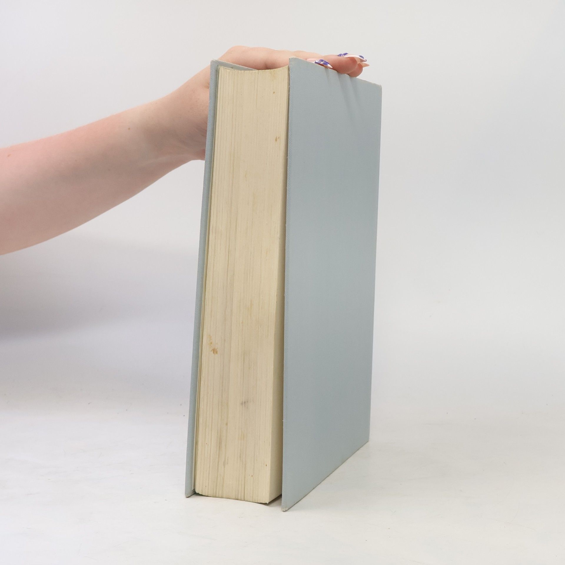 Wolf Hirth Handbuch des Segelfliegens