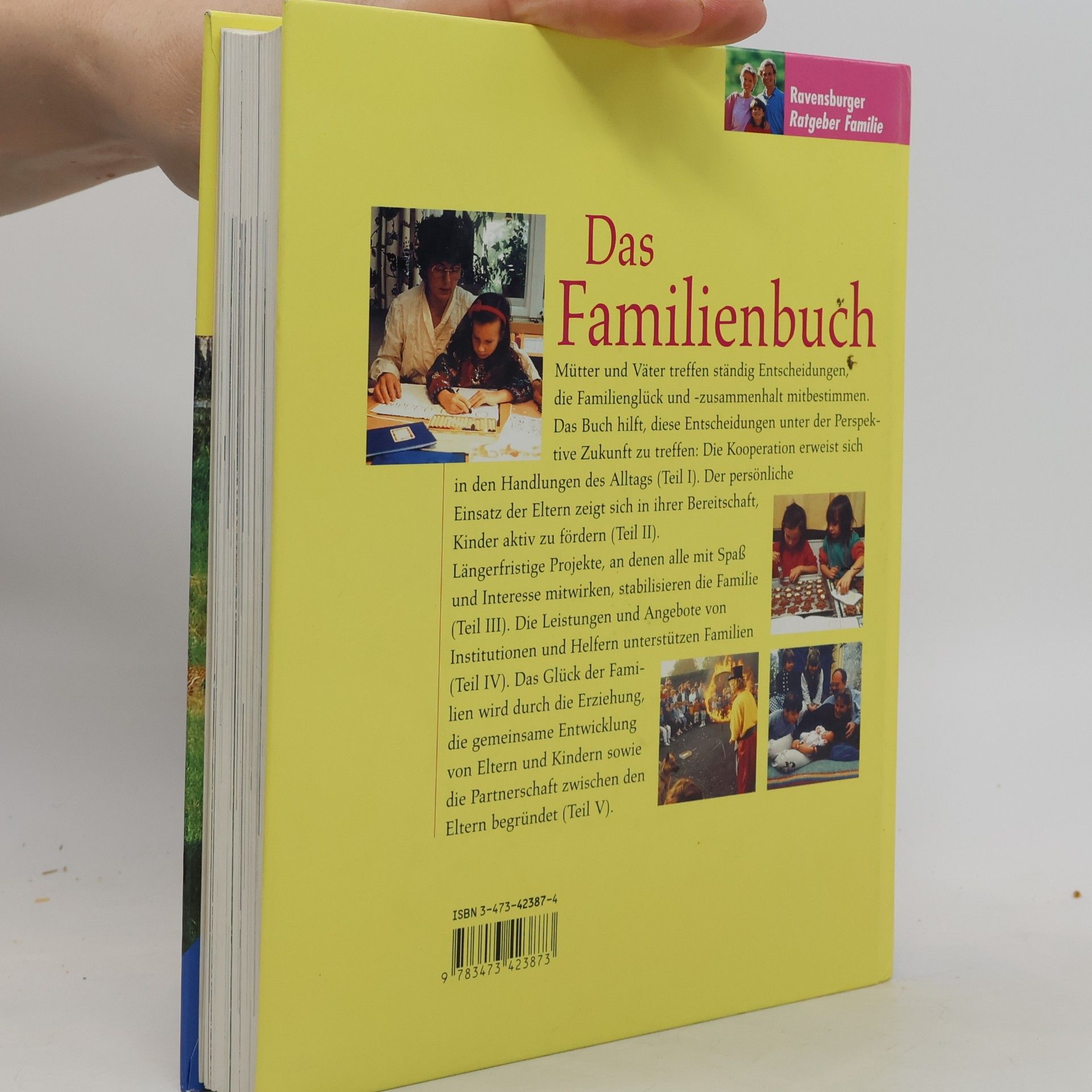 Ulrich Diekmeyer Das Familienbuch