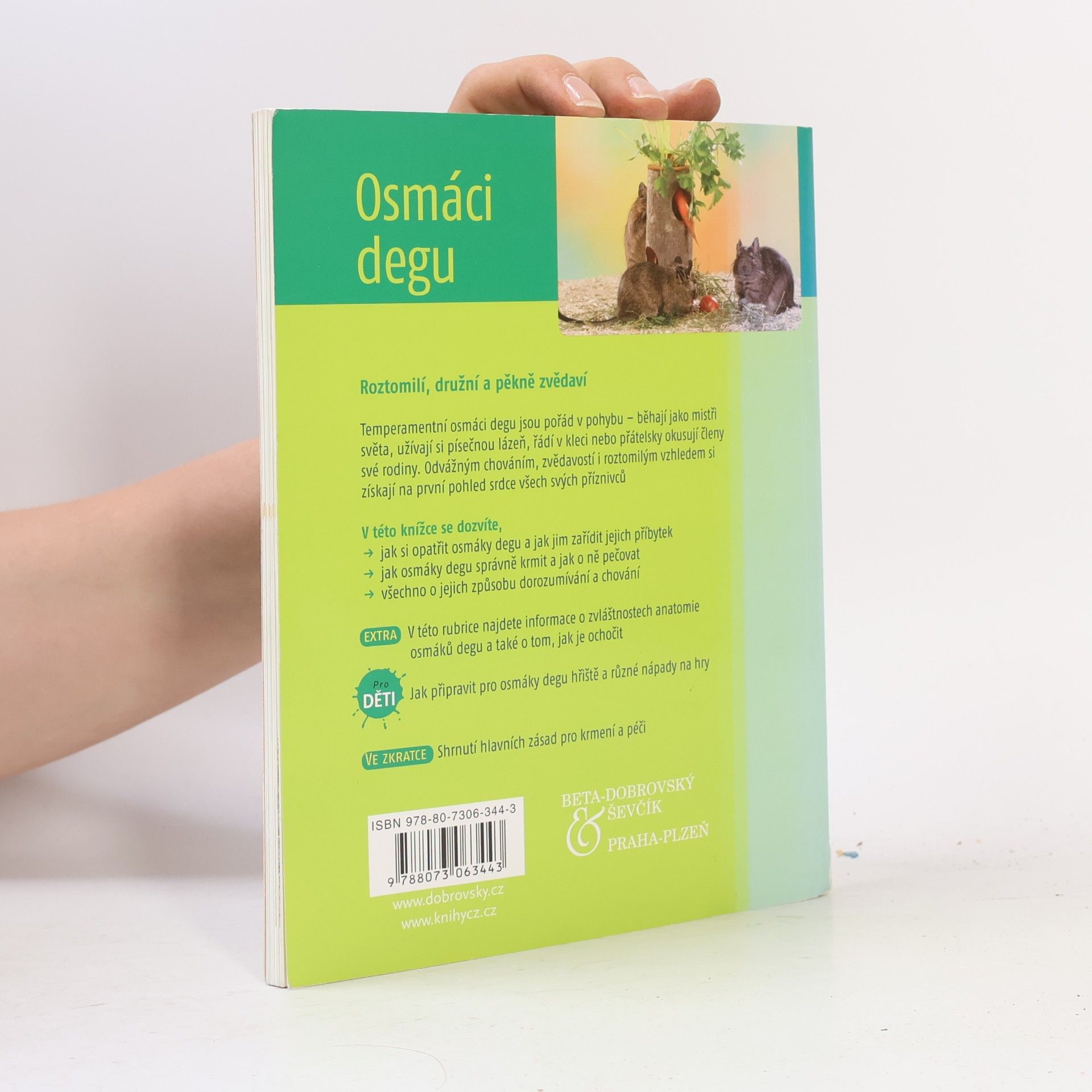 Michael Mettler Osmáci degu : chov & péče, porozumění & zabavení