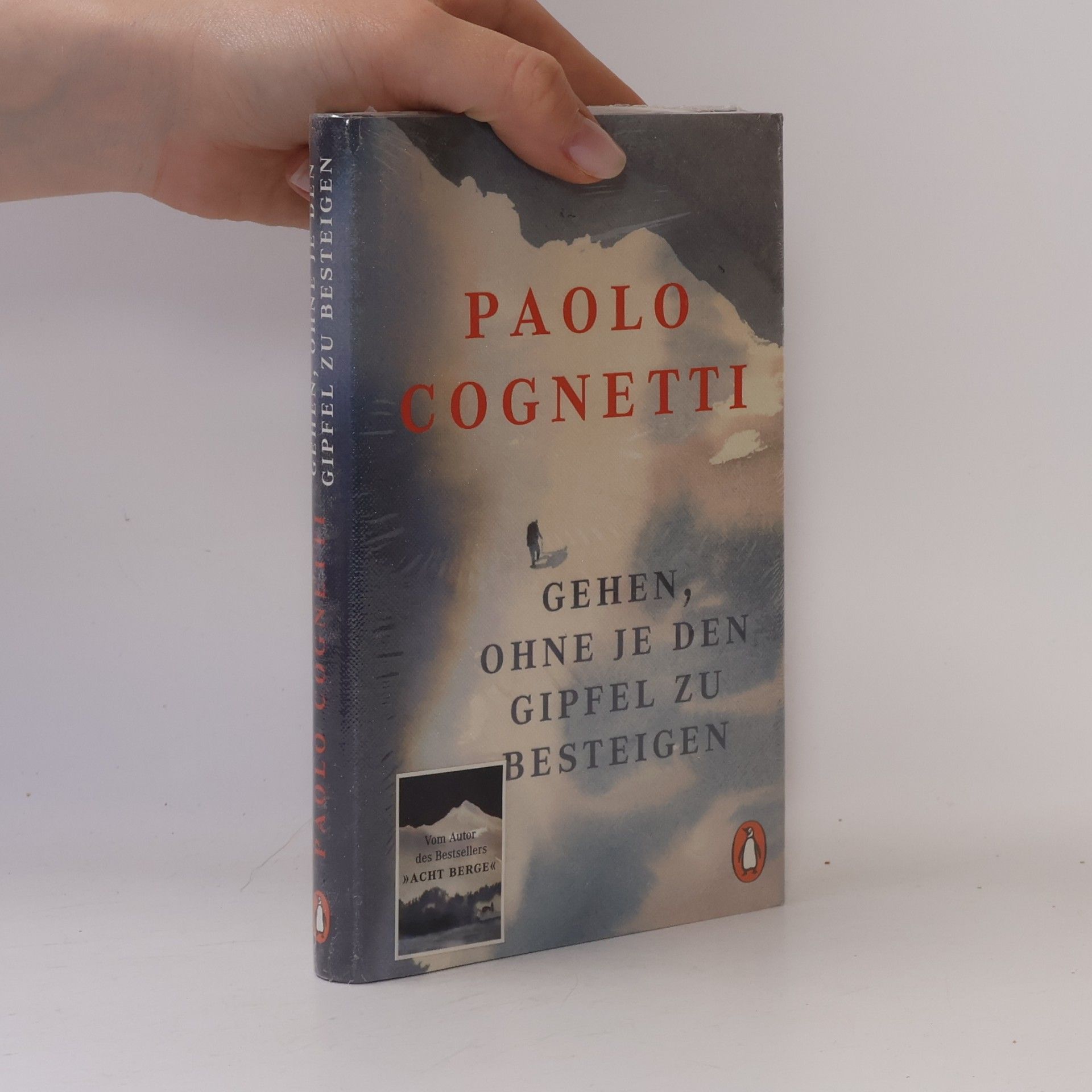Paolo Cognetti Gehen, ohne je den Gipfel zu besteigen