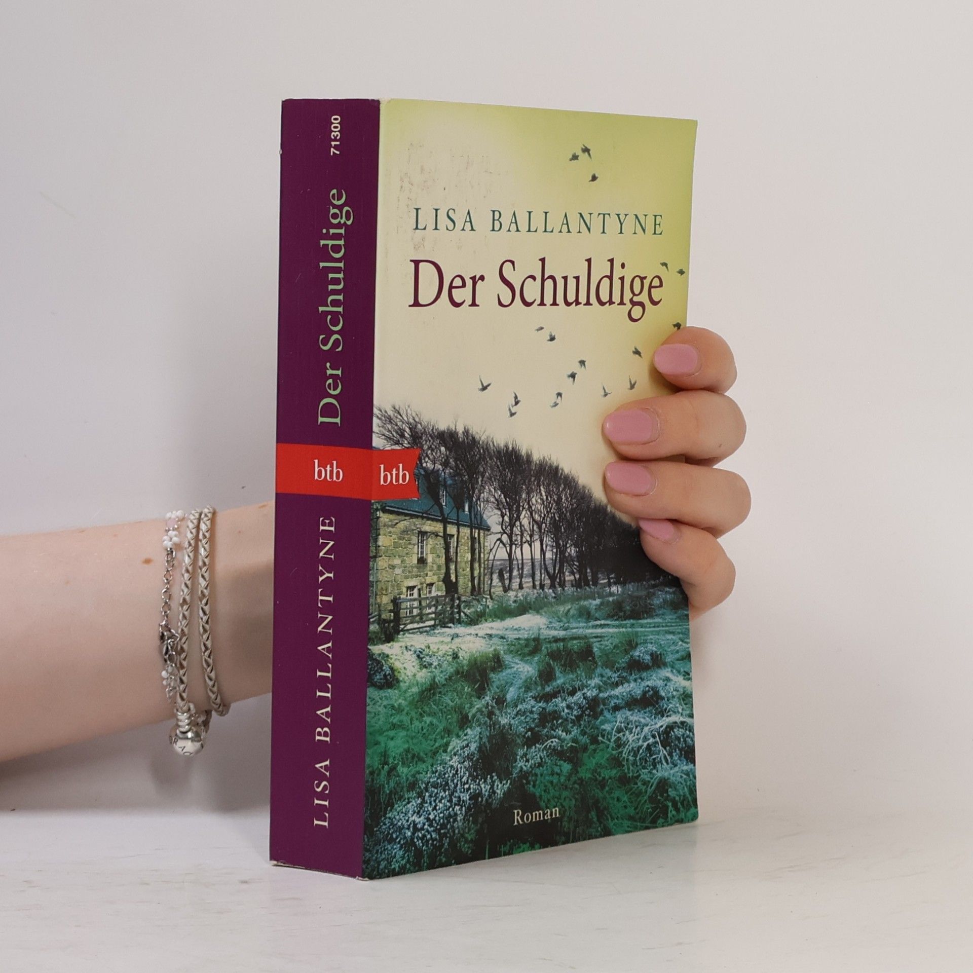 Lisa Ballantyne Der Schuldige