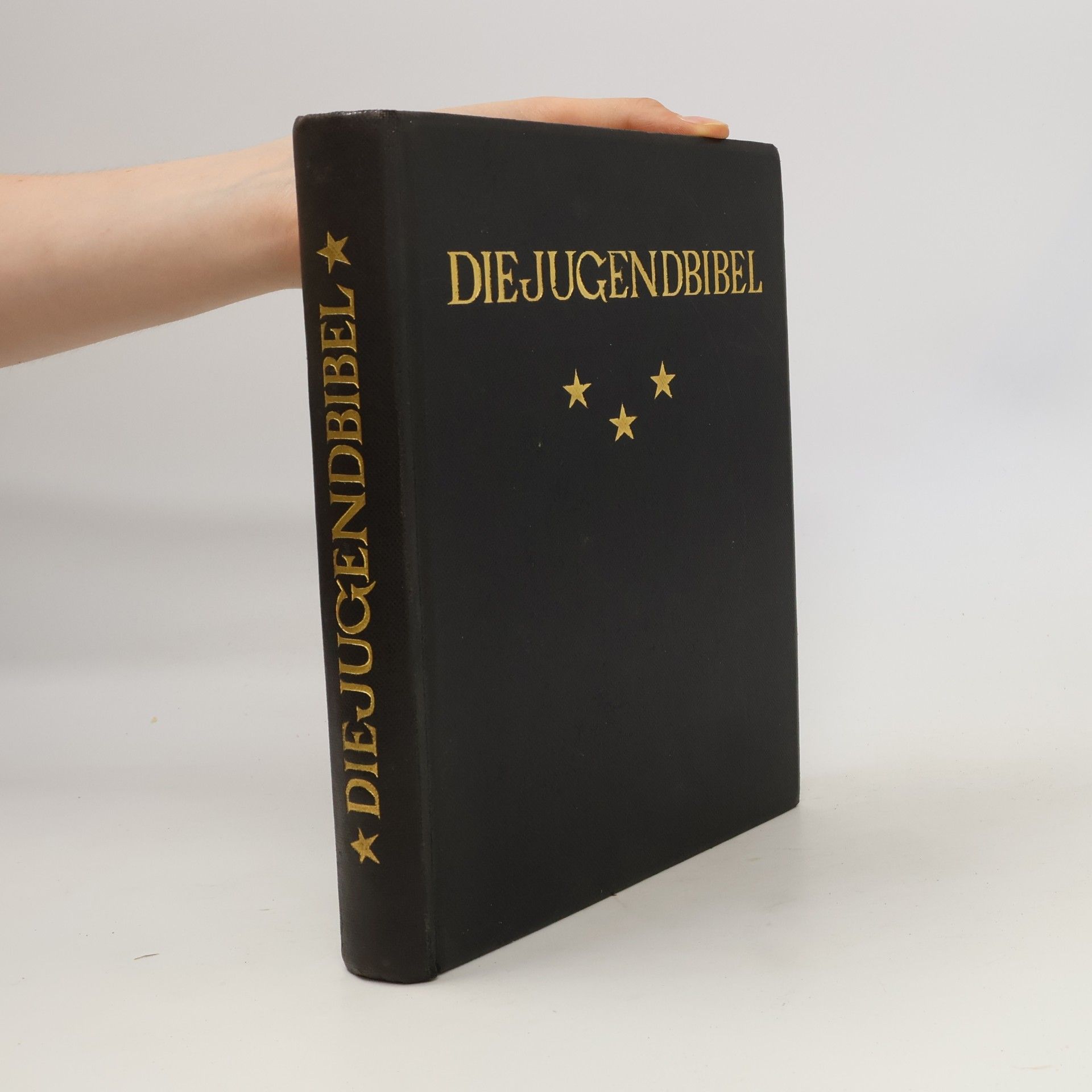 Kolektiv autorů Die Jugendbibel