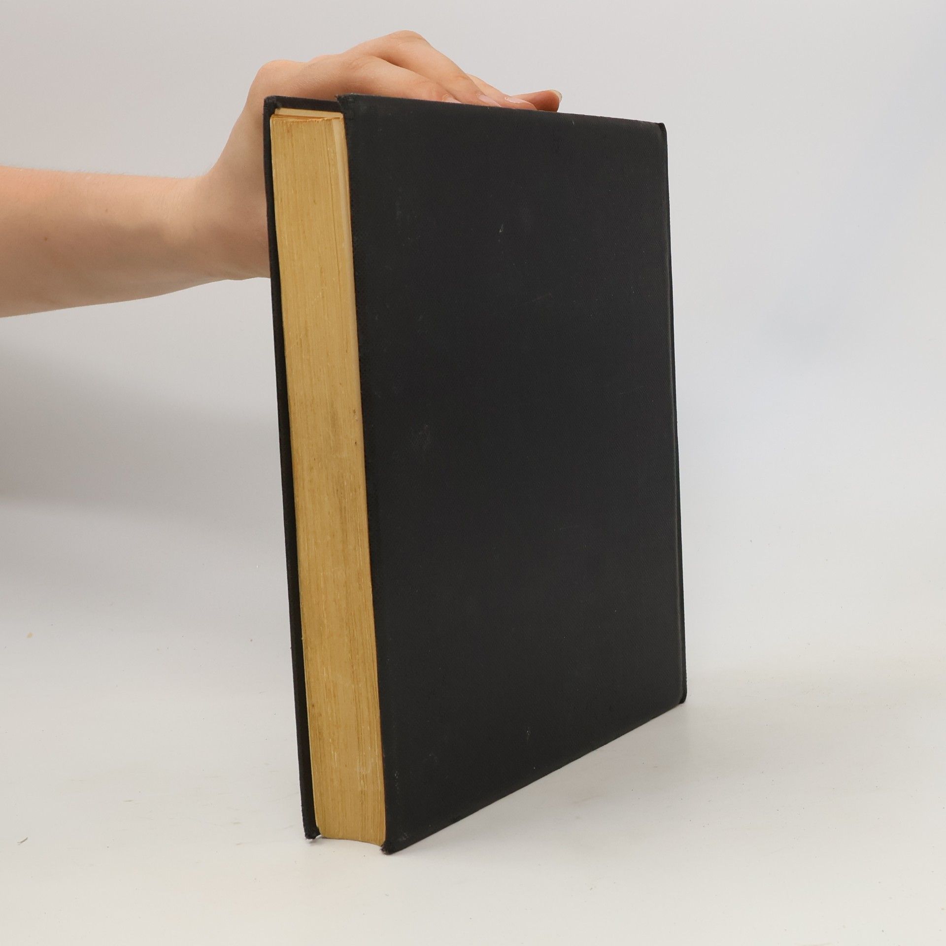 Autores varios Die Jugendbibel