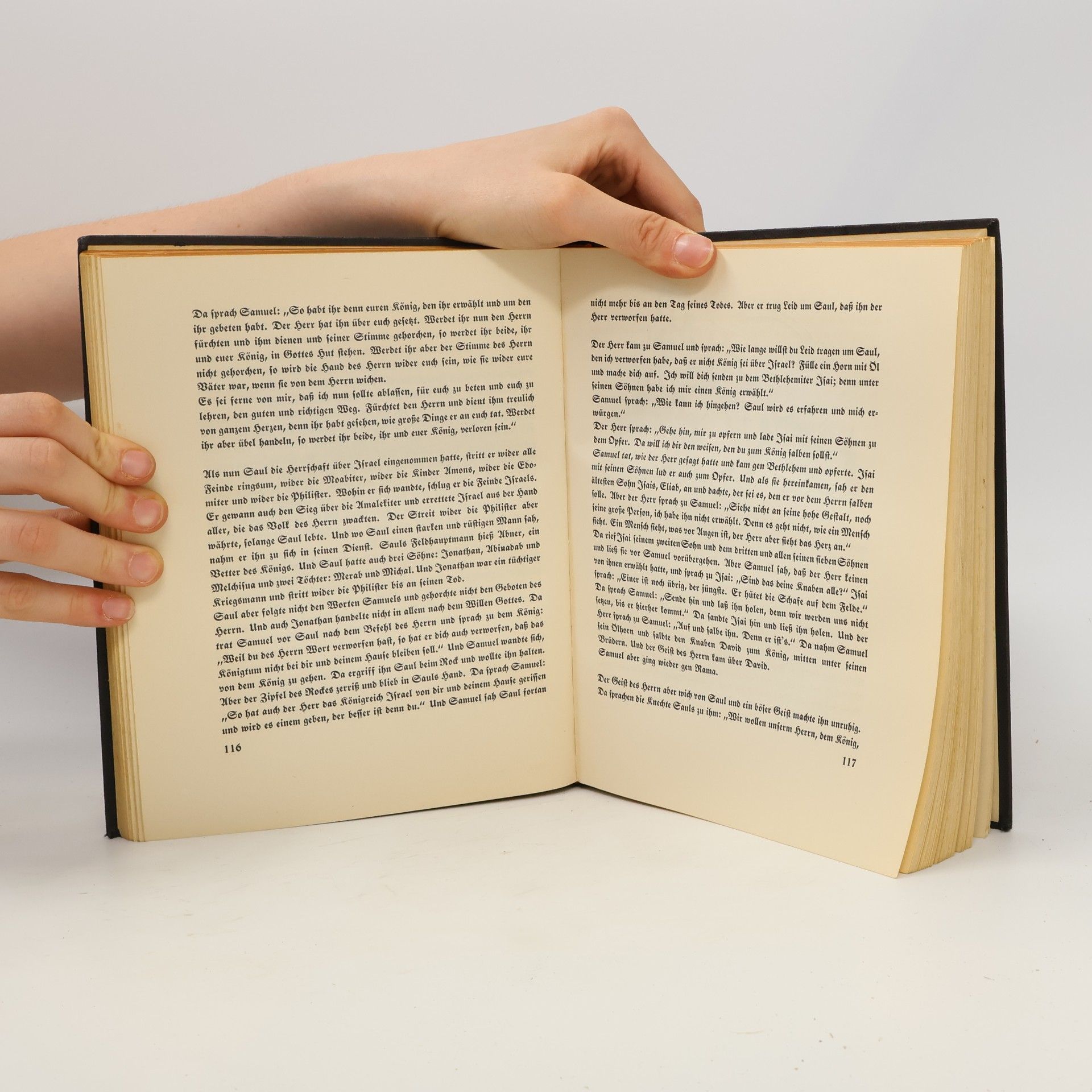 Autores varios Die Jugendbibel