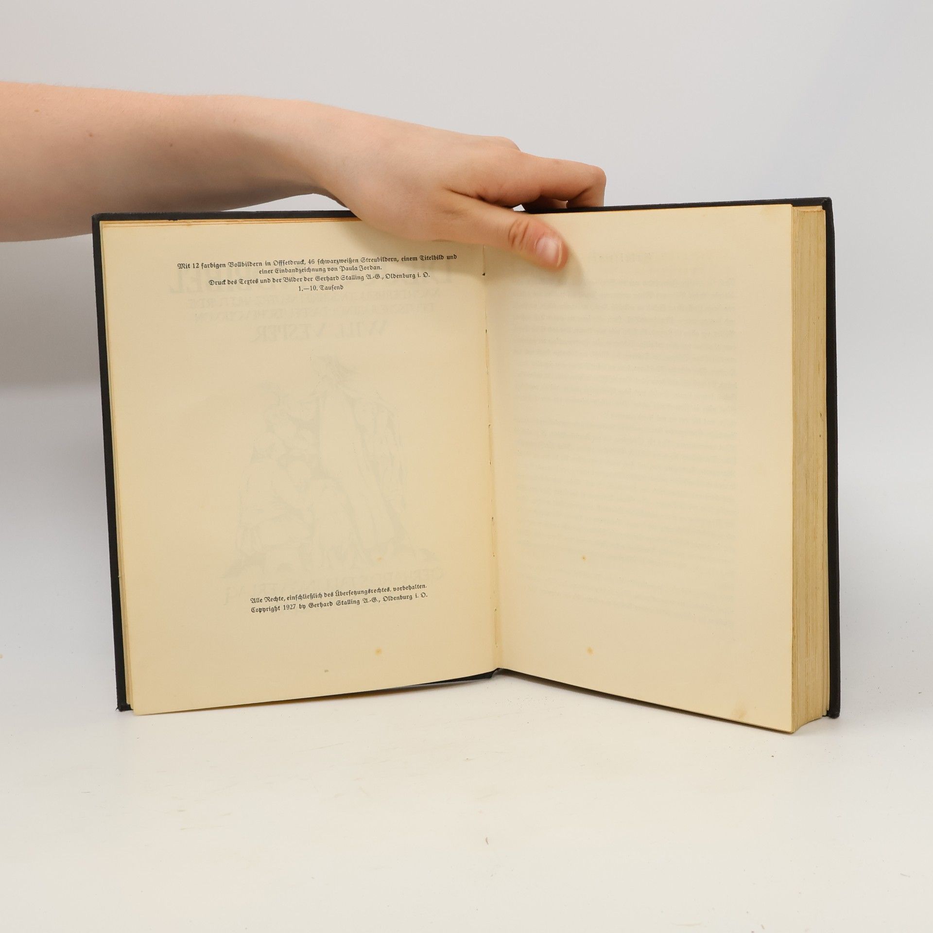 Autores varios Die Jugendbibel