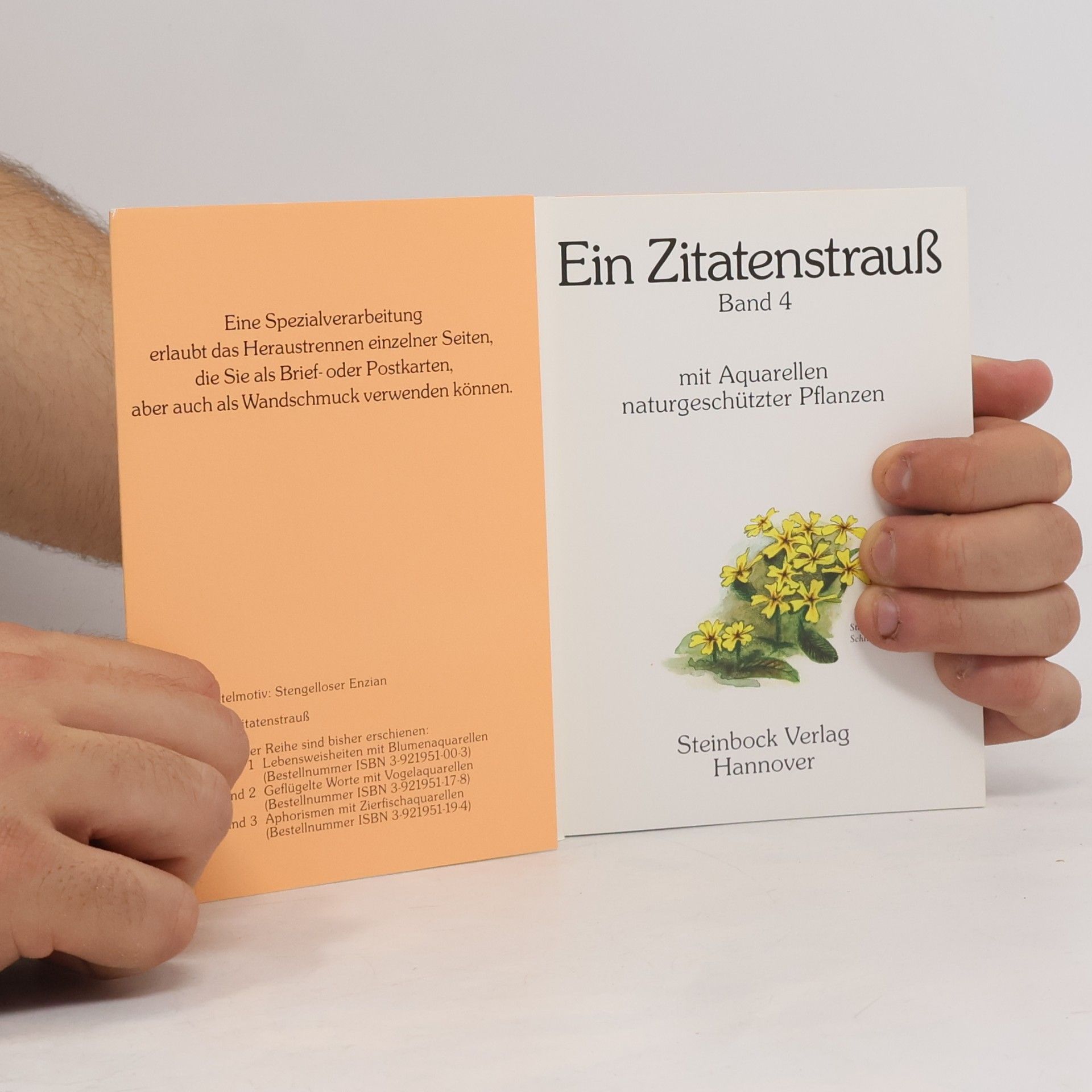 Raiffeisenbank Ein Zitatenstrauß