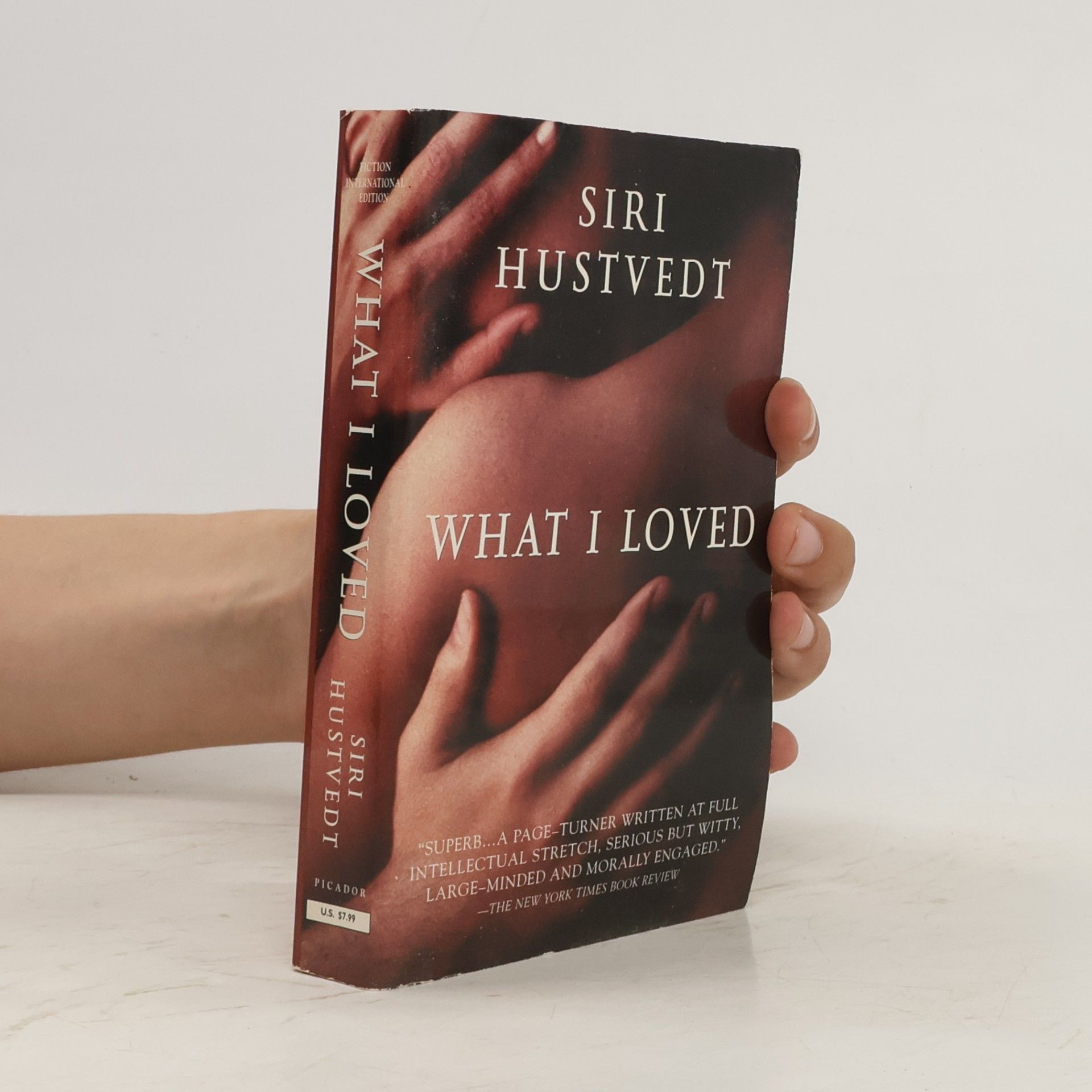 Siri Hustvedt What I loved