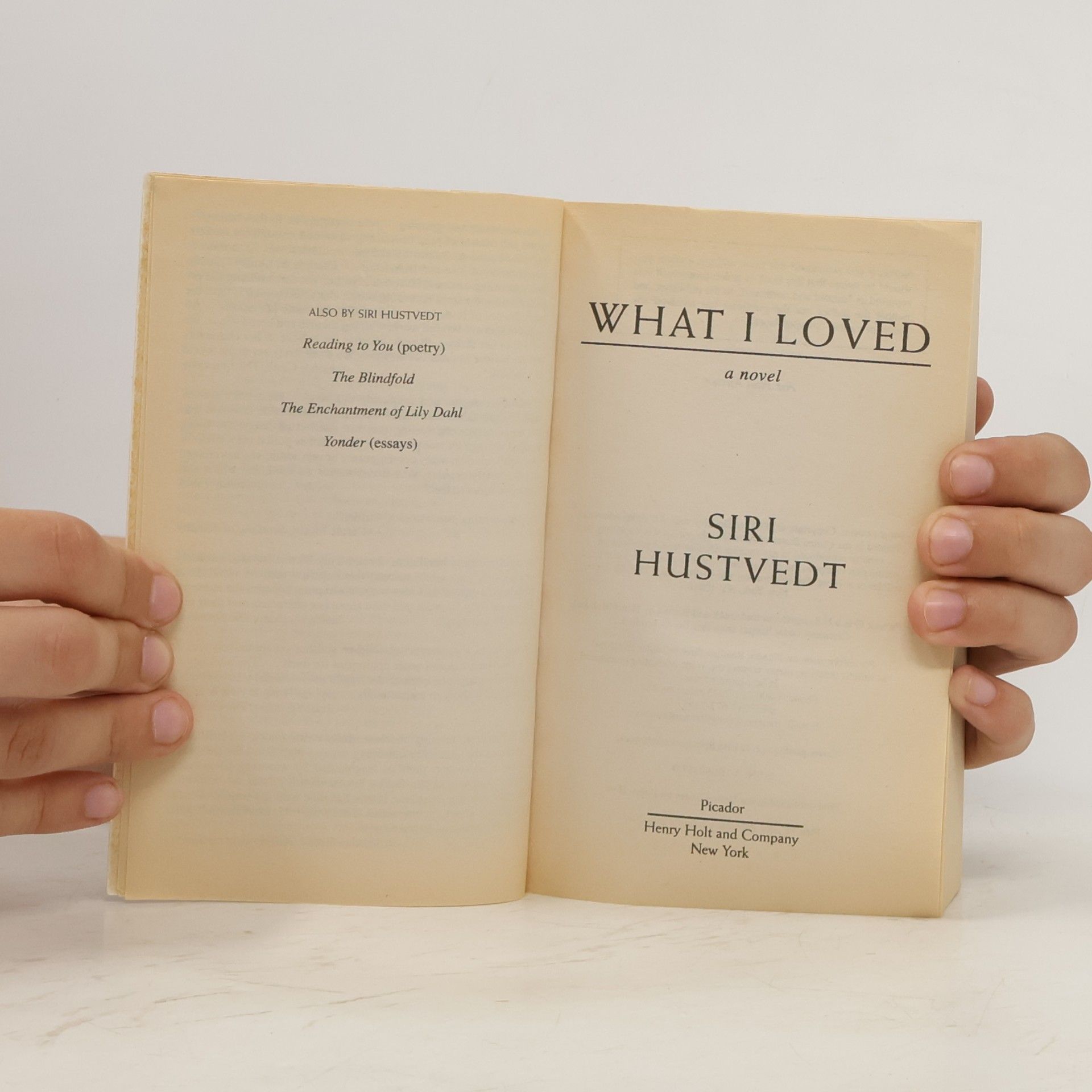 Siri Hustvedt What I loved