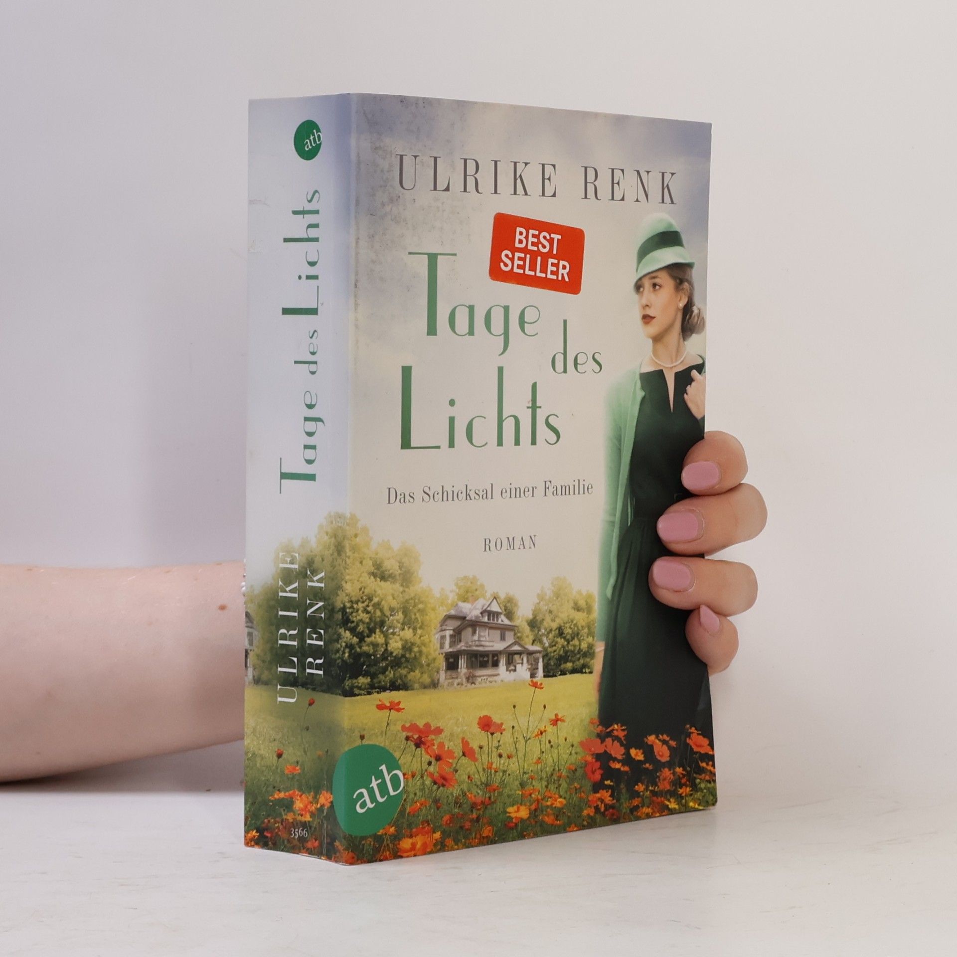 Ulrike Renk Tage des Lichts