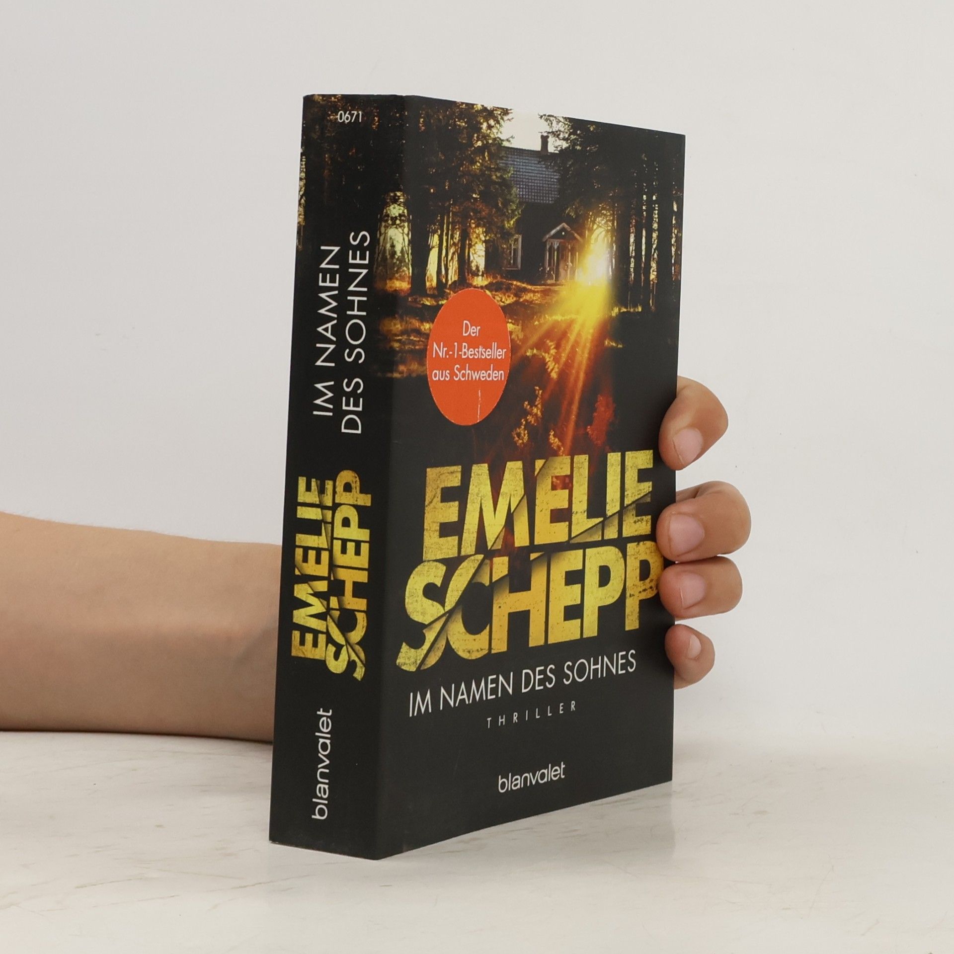 Emelie Schepp Im Namen des Sohnes