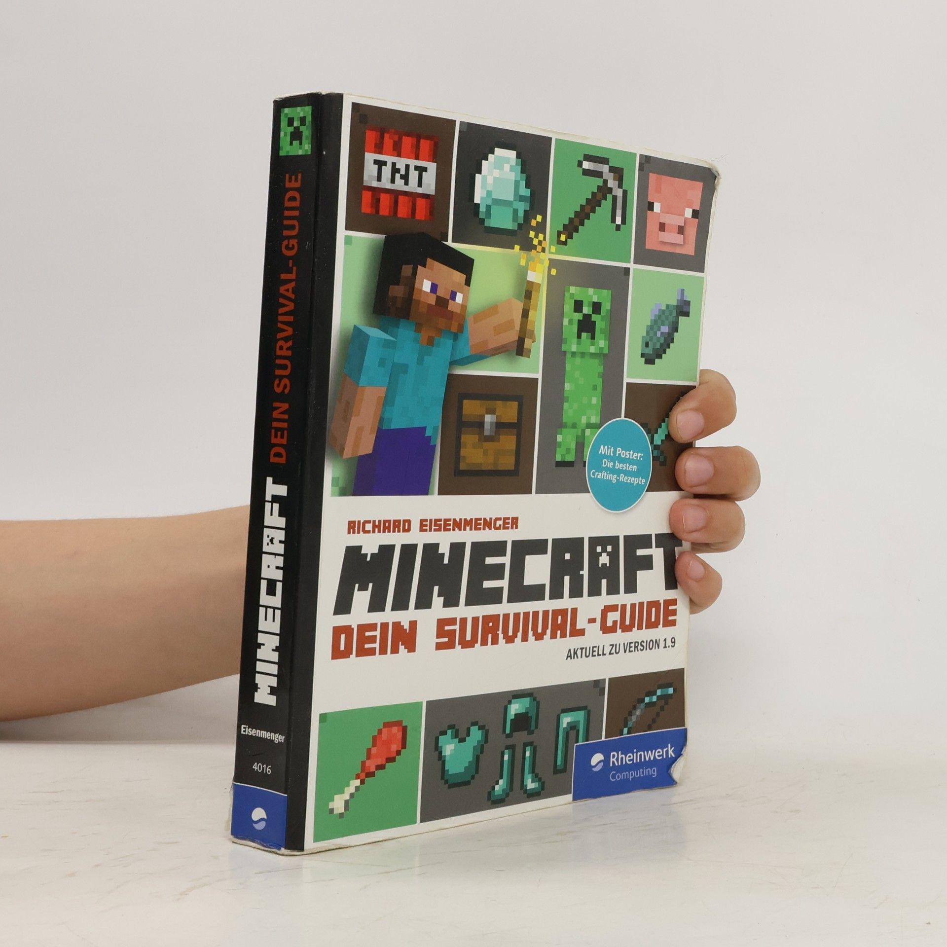Richard Eisenmenger Minecraft - dein Survival-Guide