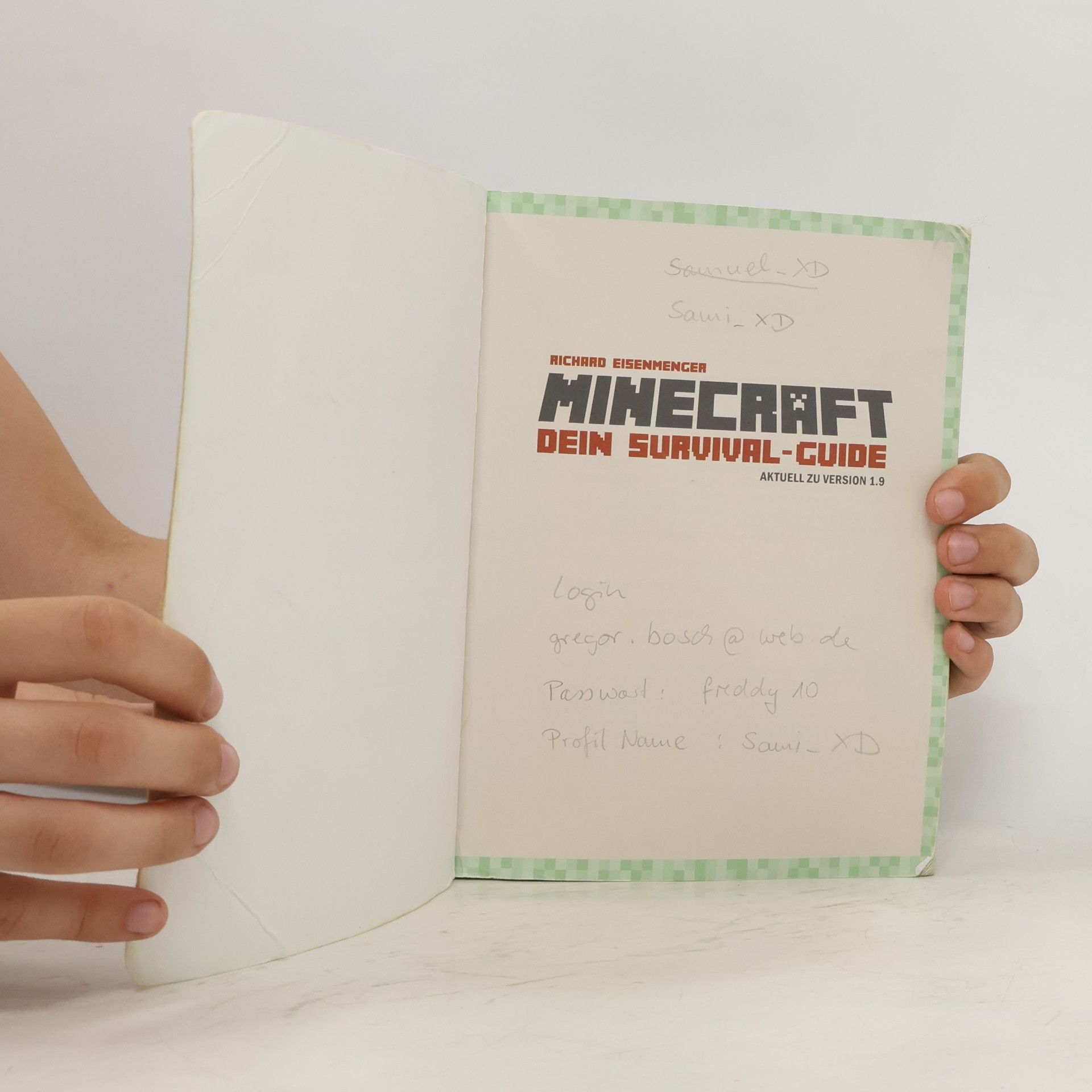 Richard Eisenmenger Minecraft - dein Survival-Guide
