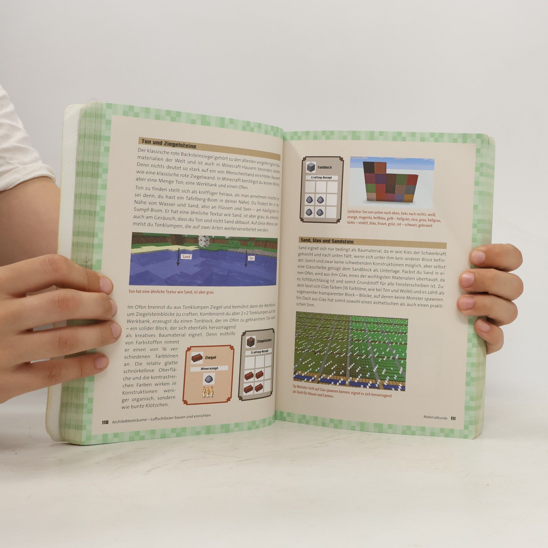 Richard Eisenmenger Minecraft - dein Survival-Guide