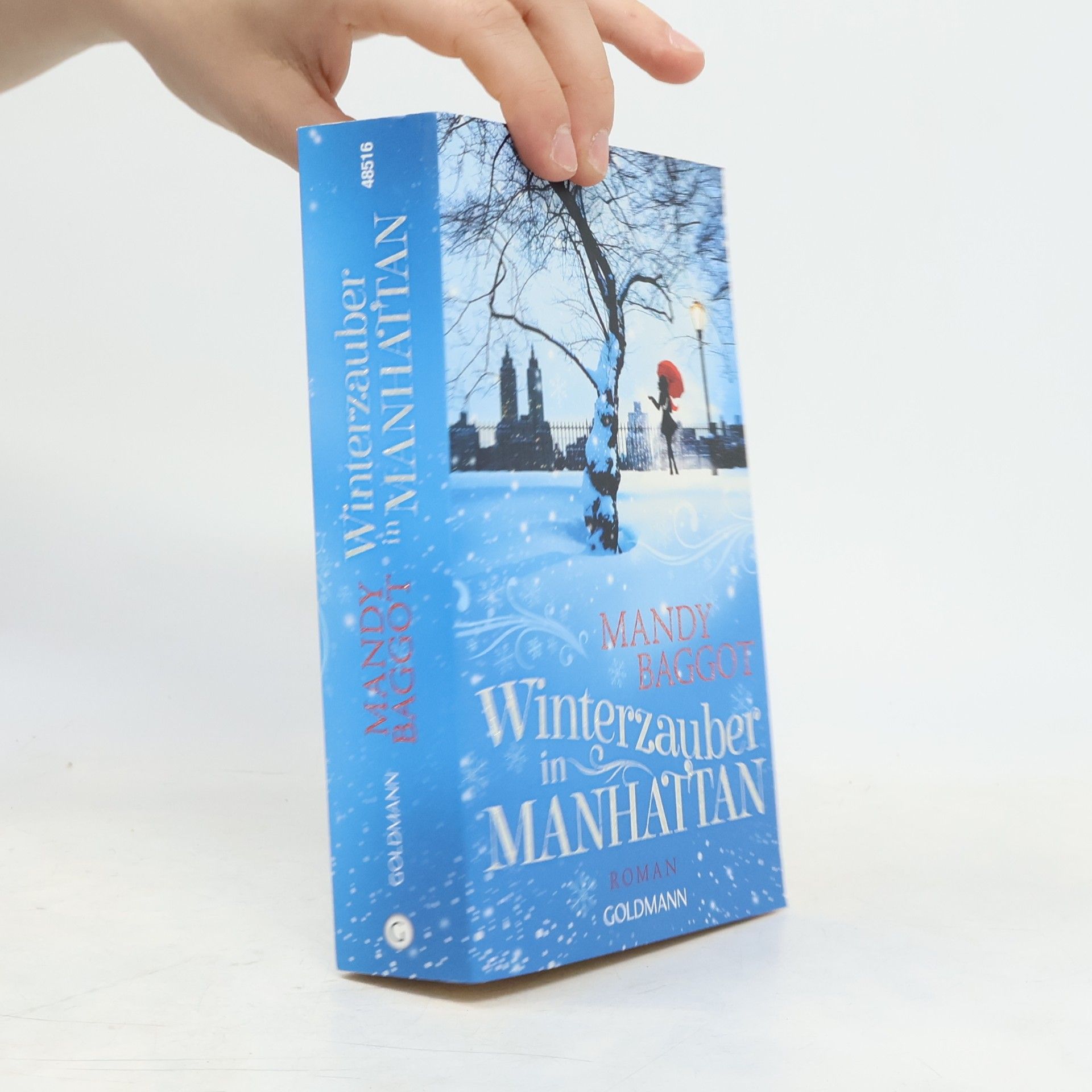 Winterzauber in Manhattan