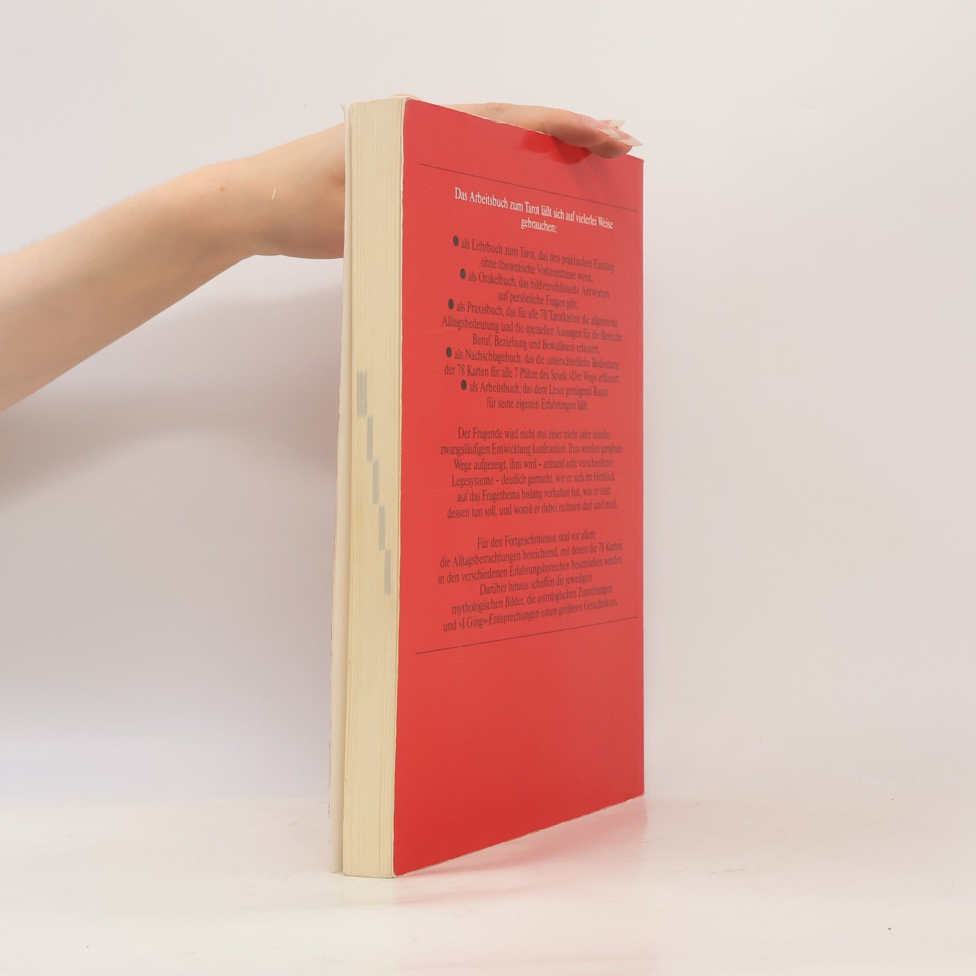 Hajo Banzhaf Das Arbeitsbuch zum Tarot