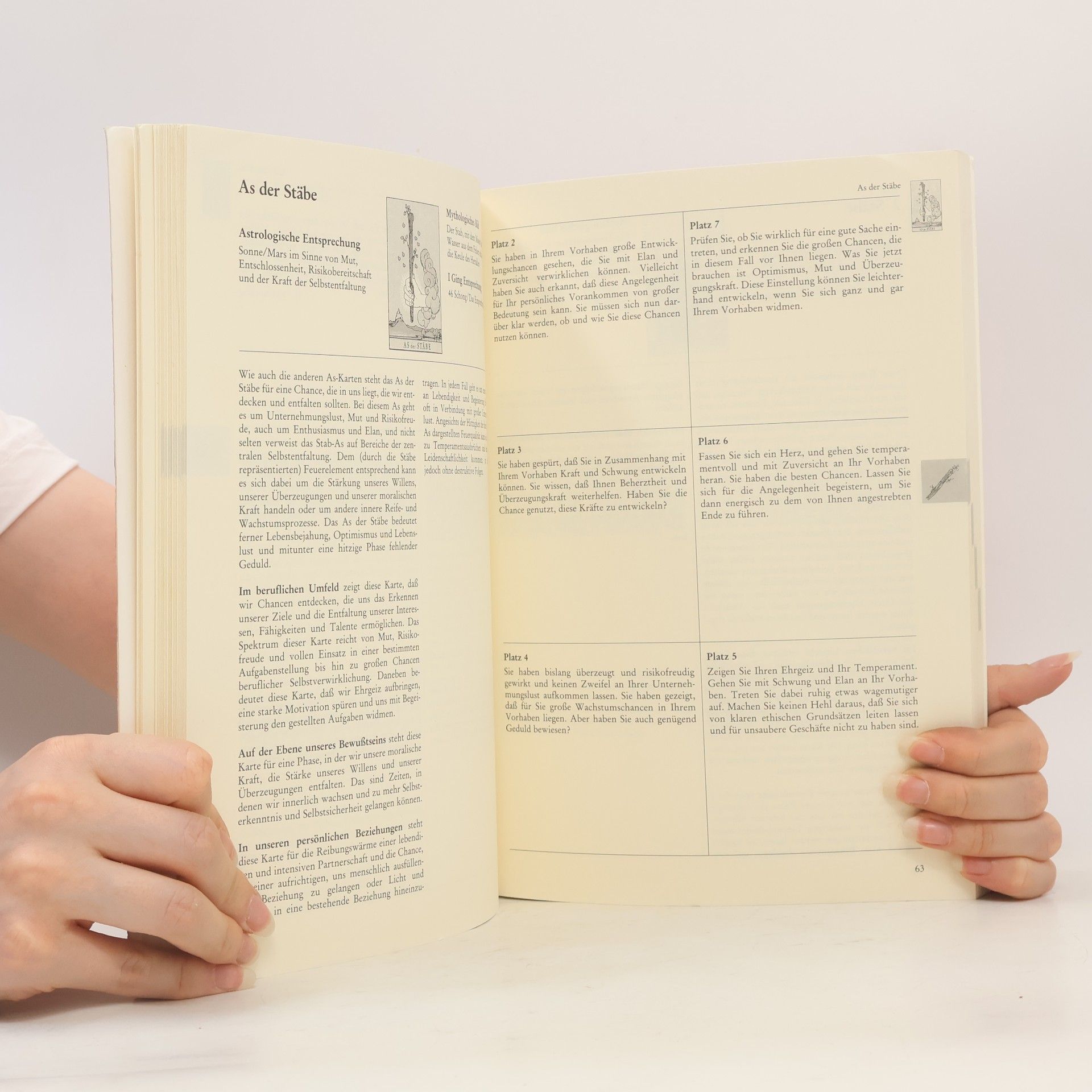 Hajo Banzhaf Das Arbeitsbuch zum Tarot
