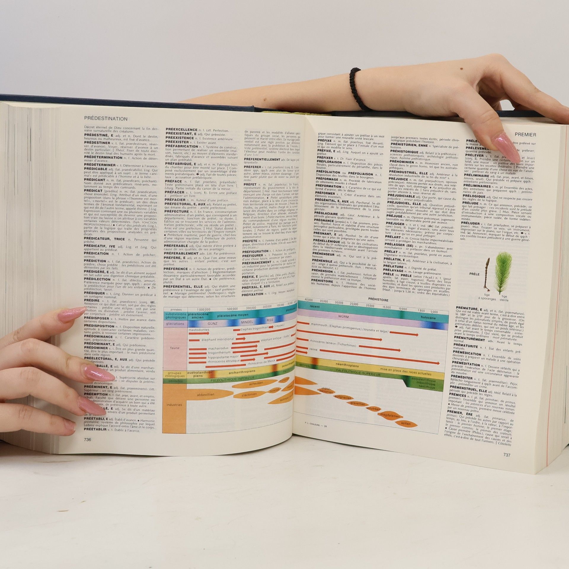 Autorenkollektiv Petit Larousse en couleurs