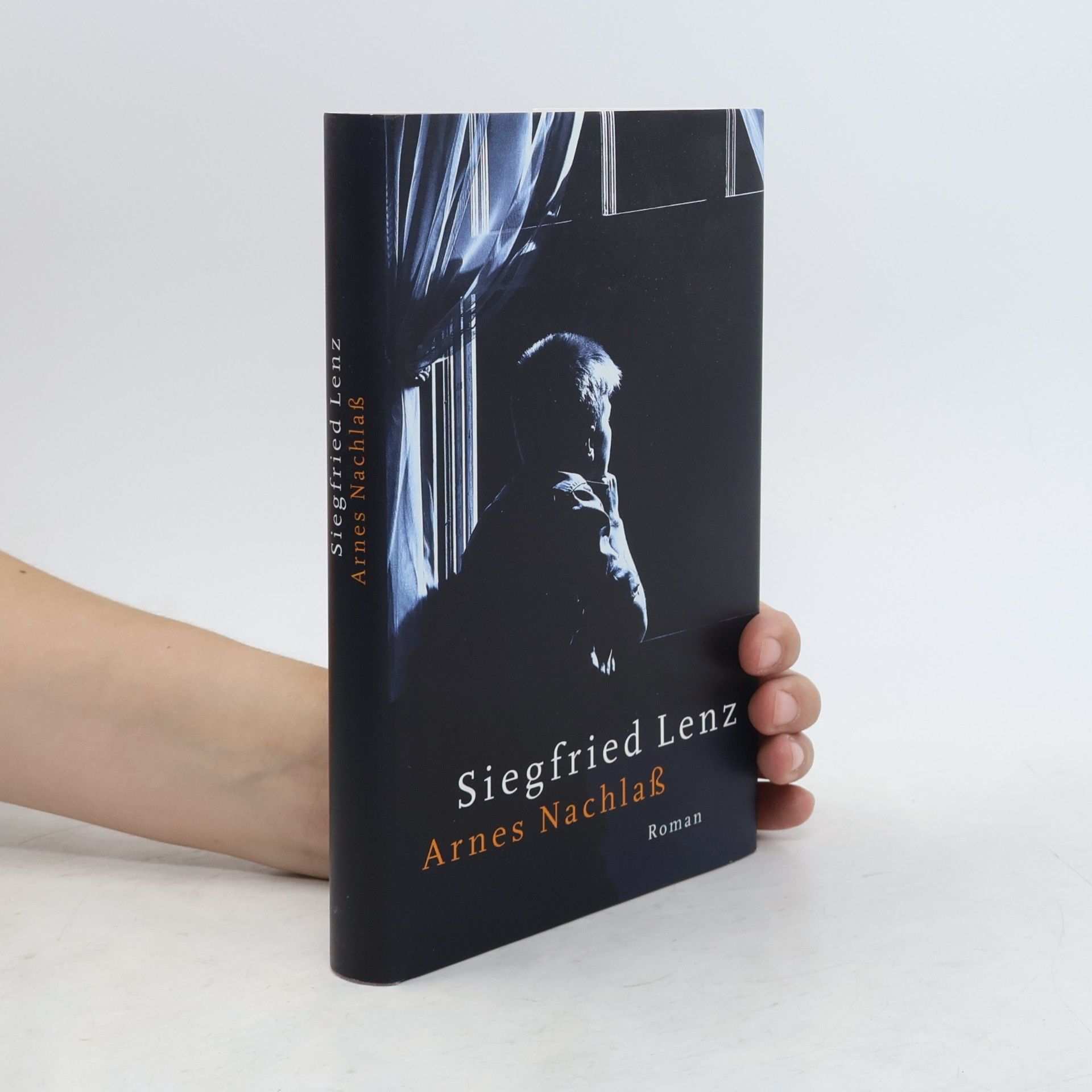 Siegfried Lenz Arnes Nachlass