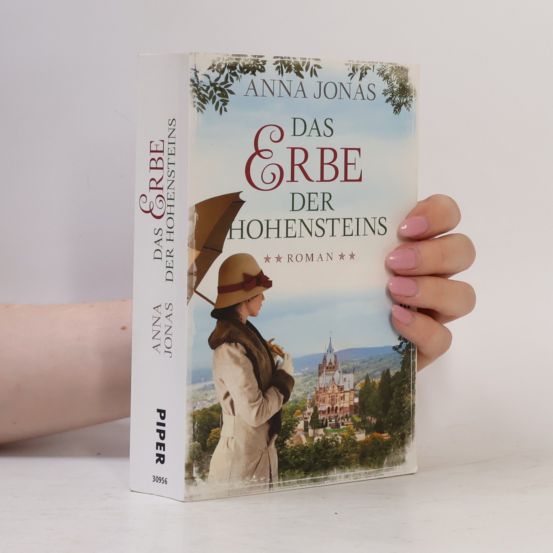 Das Erbe der Hohensteins