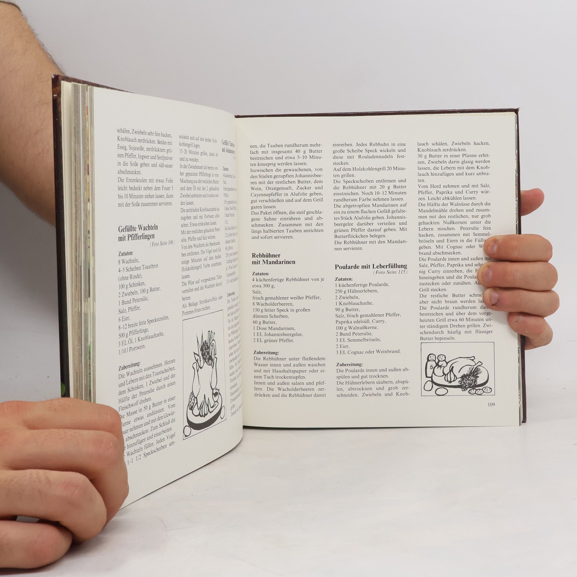 Heidi Freund Das Neue Grosse Farbige Grillbuch