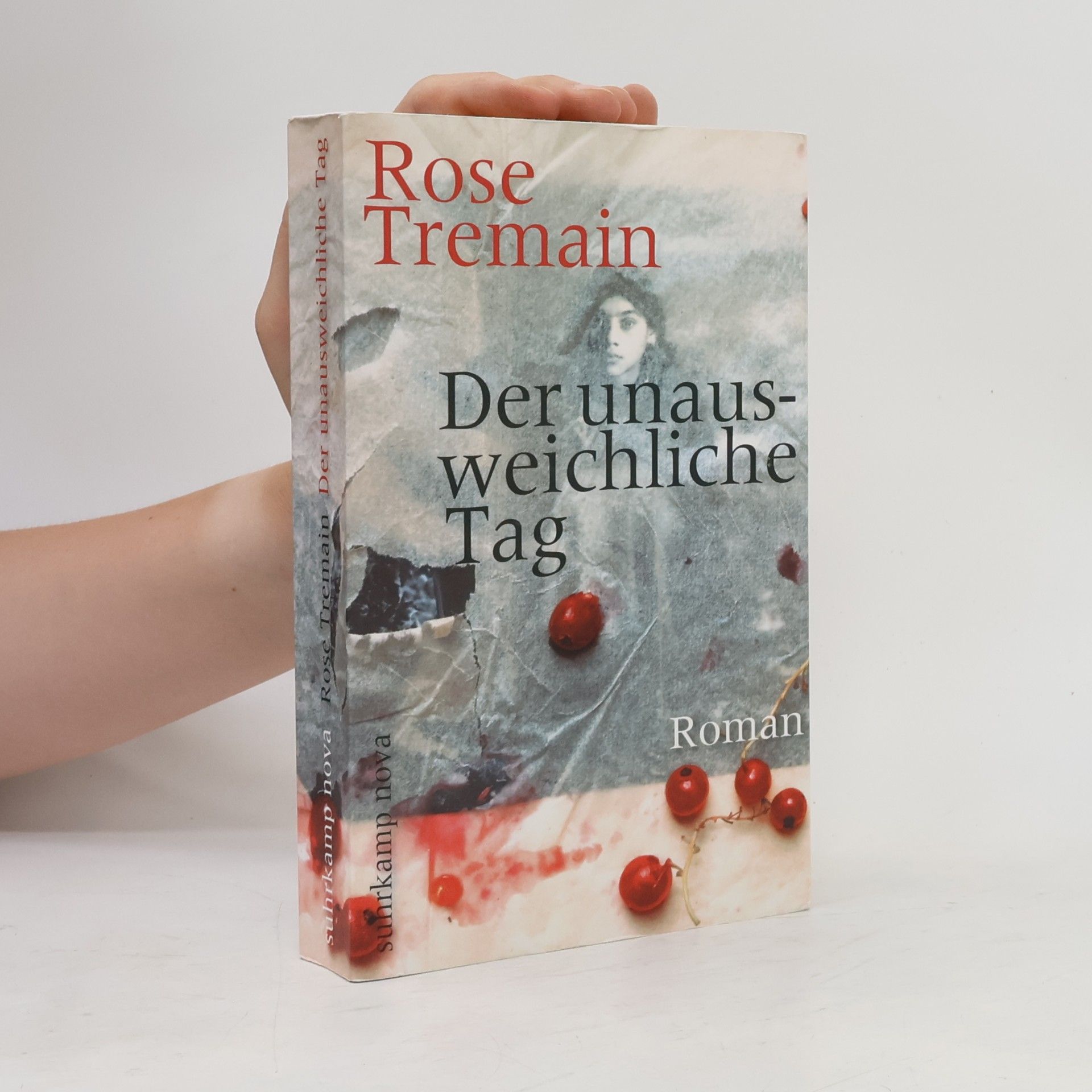 Rose Tremain Der unausweichliche Tag