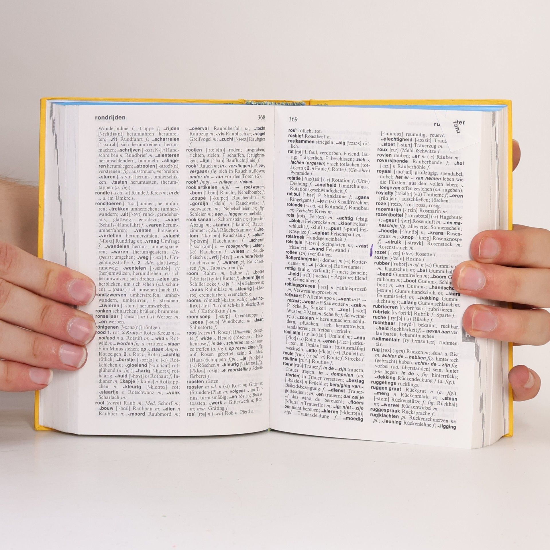 Frans Beersmans Langenscheidt Taschenwörterbuch Niederländisch