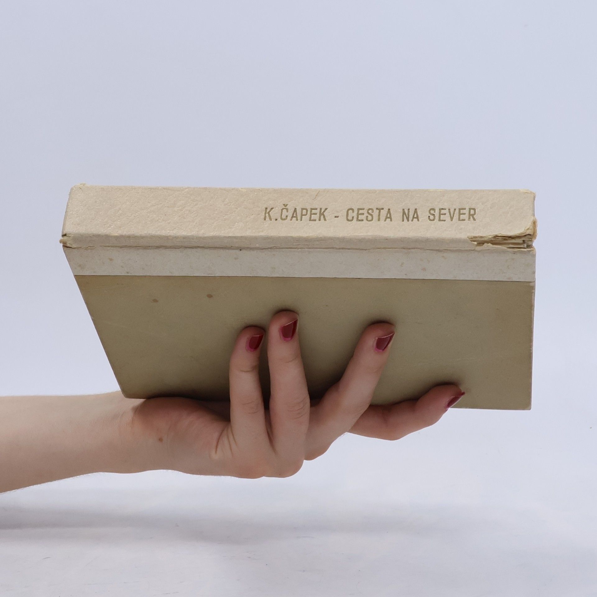 Karel Čapek Cesta na sever