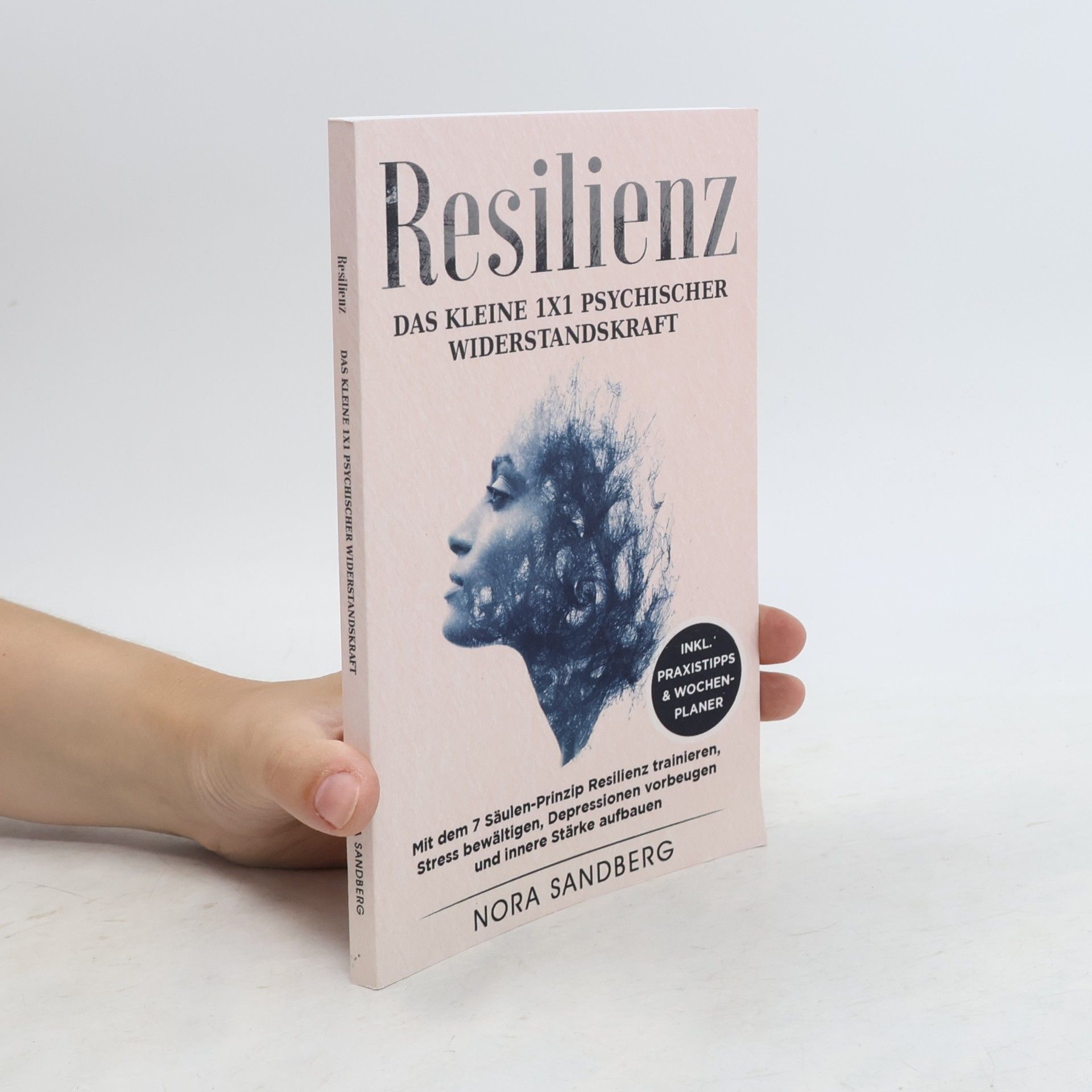 Nora Sandberg Resilienz