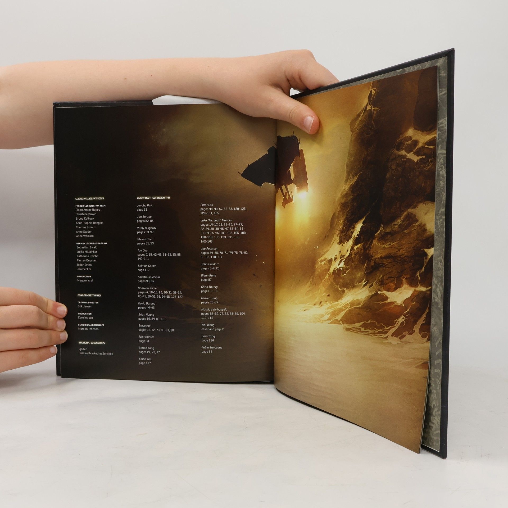 Collectif d'auteurs Die Kunst von StarCraft II. Heart of the Swarm