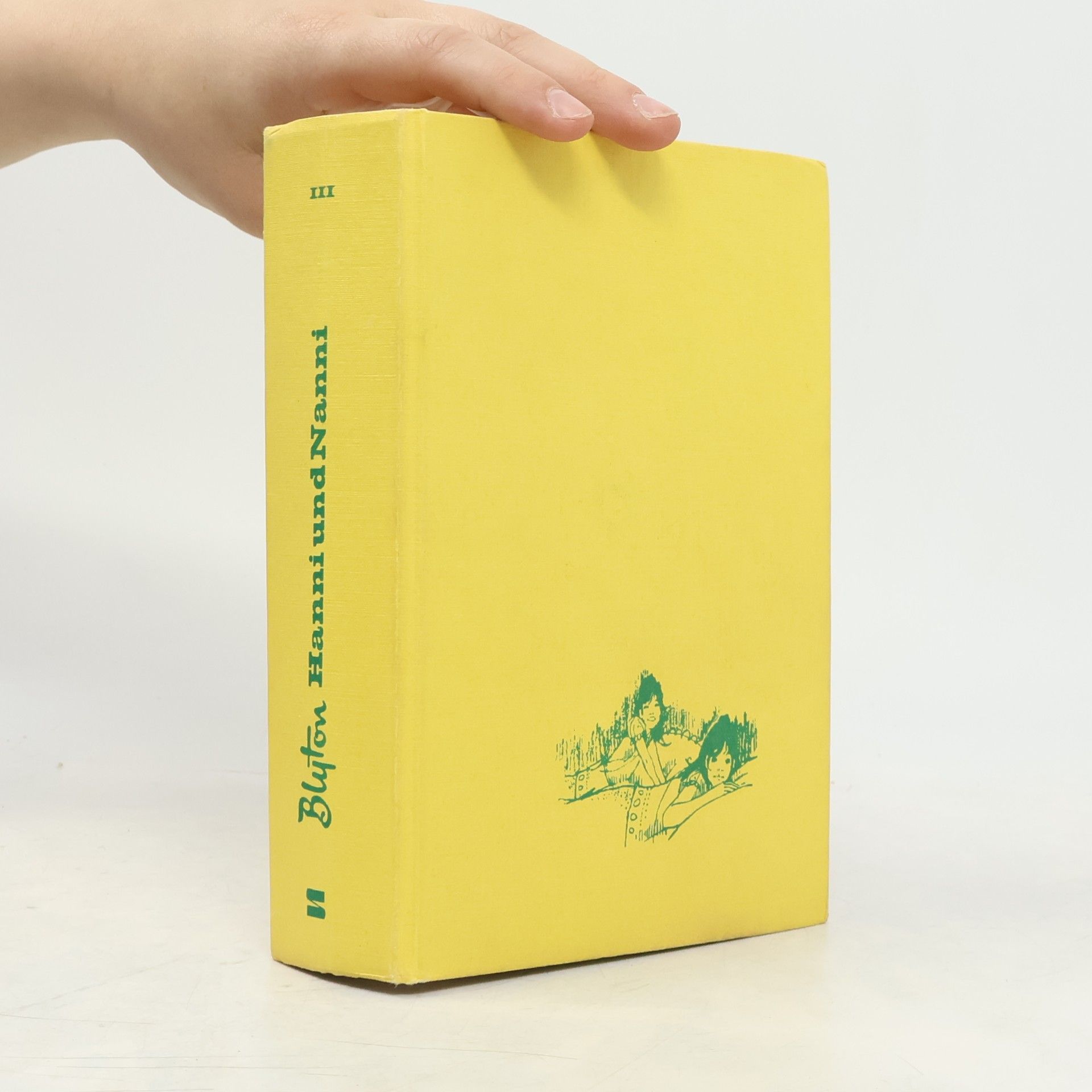 Enid Blyton Hanni und Nanni. Sammelband 3
