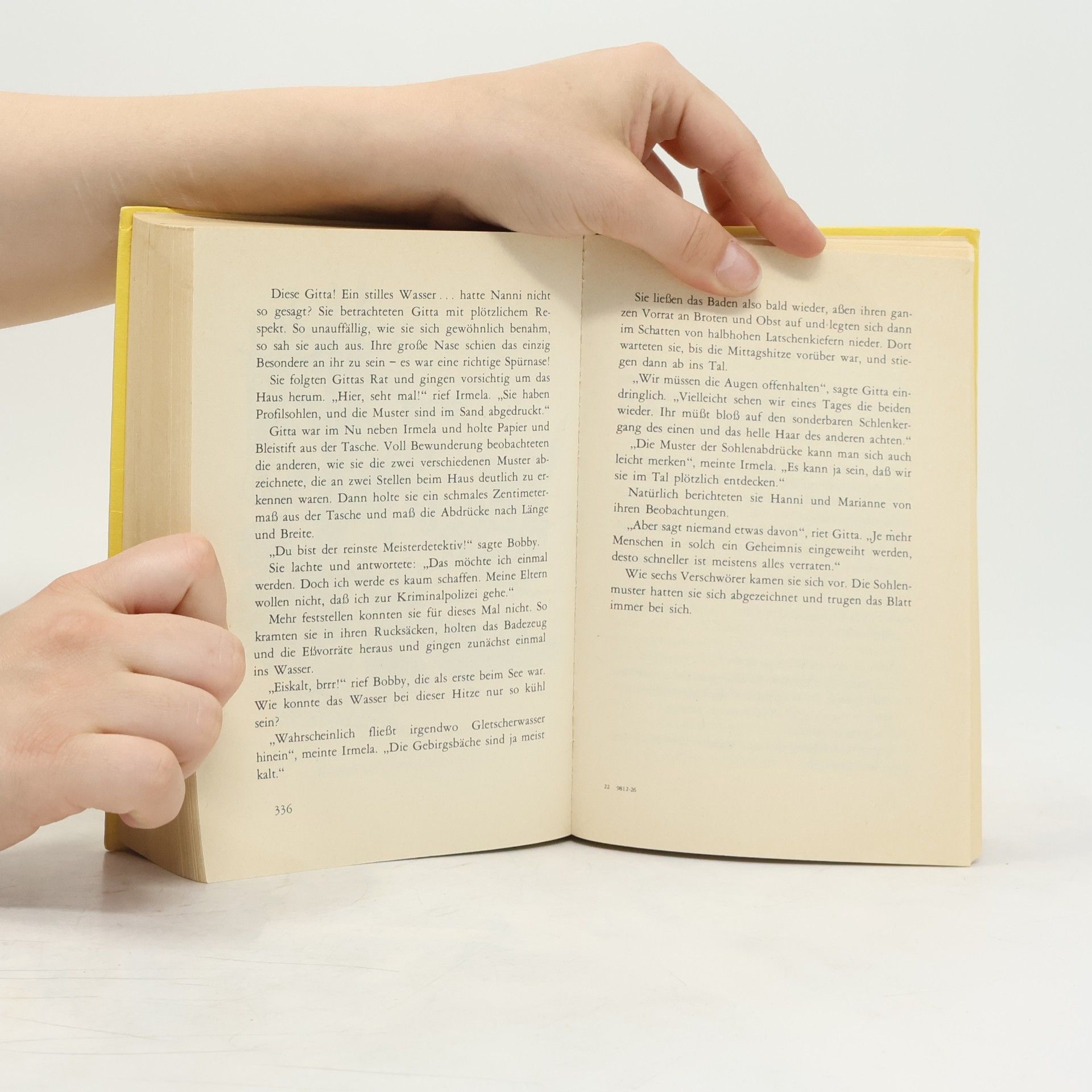 Enid Blyton Hanni und Nanni. Sammelband 3