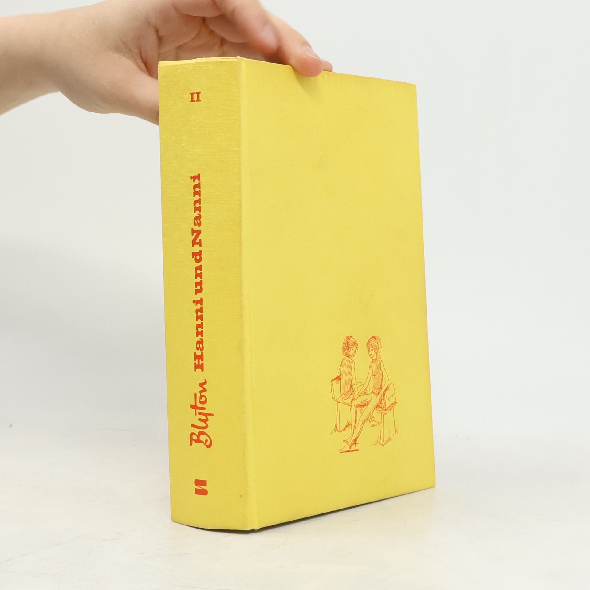 Enid Blyton Hanni und Nanni. Sammelband 2