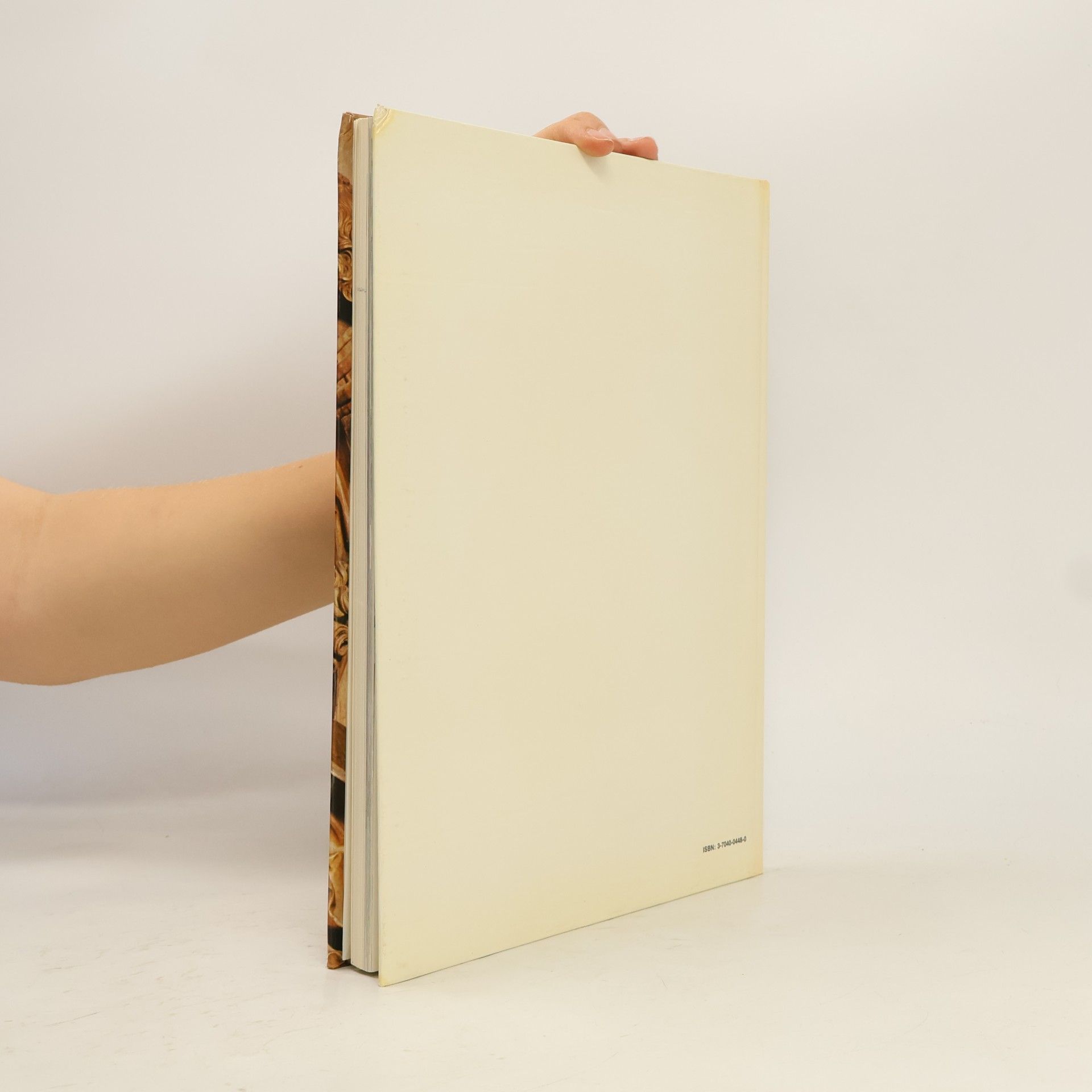 Fink Kleine Kunstgeschichte Österreichs