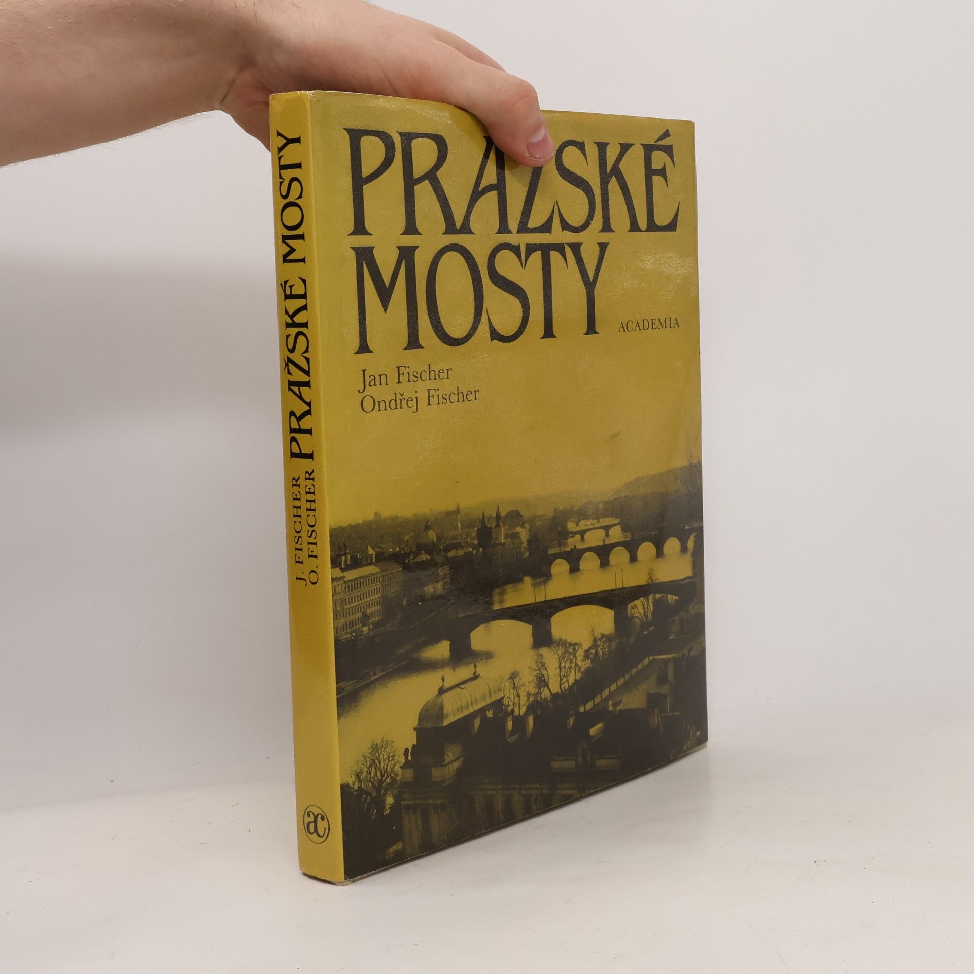 Jan Fischer Pražské mosty