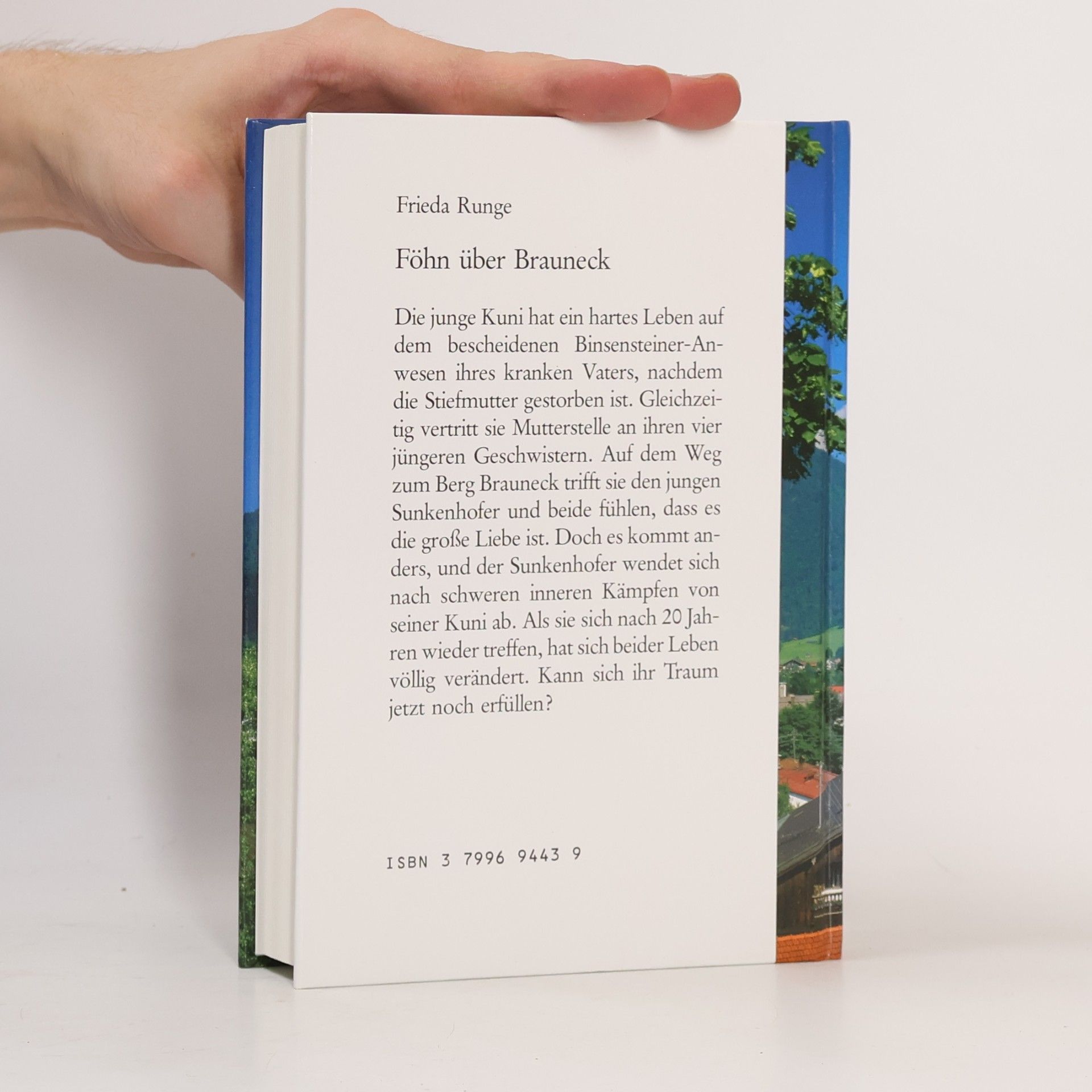 Frieda Runge Föhn über Brauneck