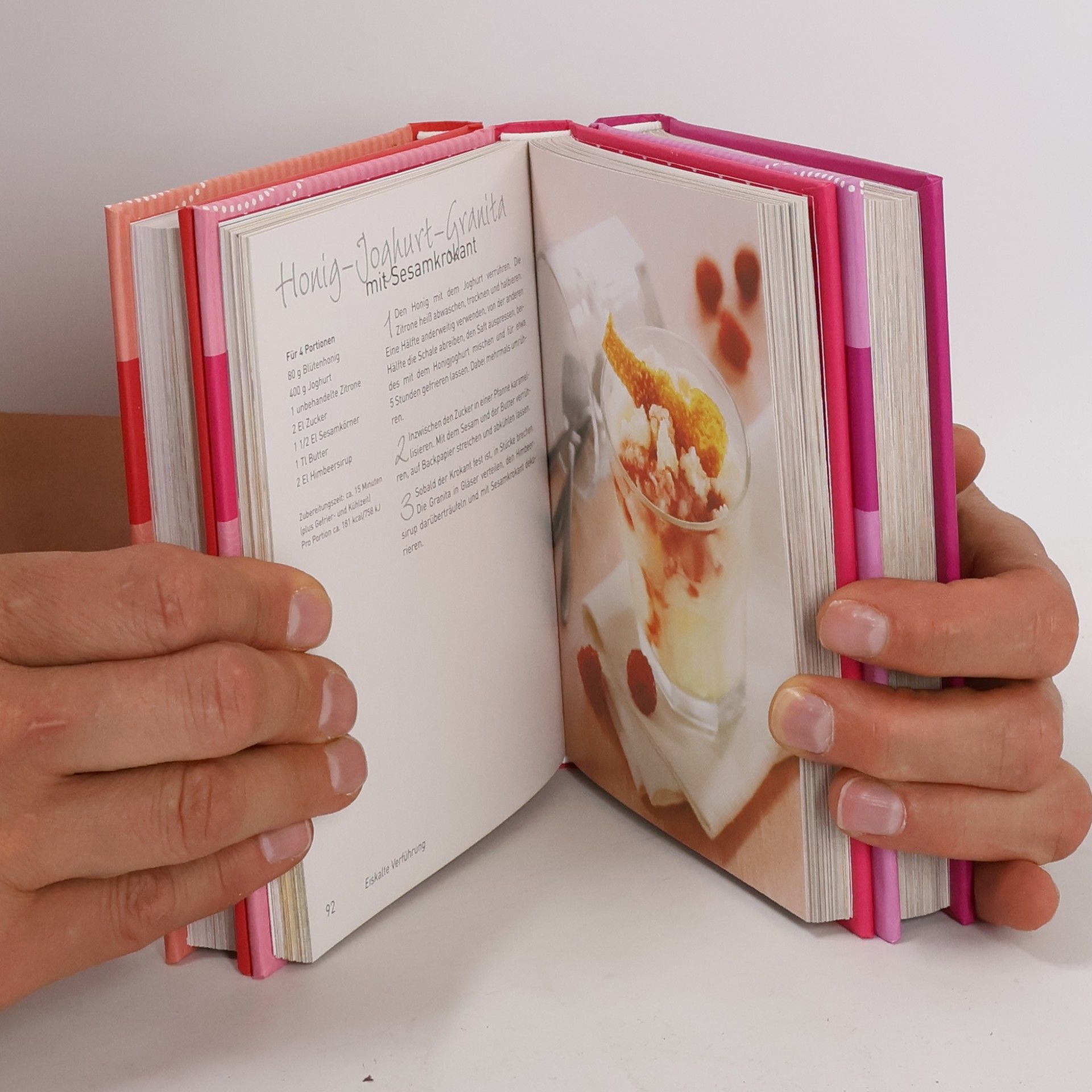 Various authors Naschkatzenbox. Rundum-Sorglos-Paket mit 320 Rezepten