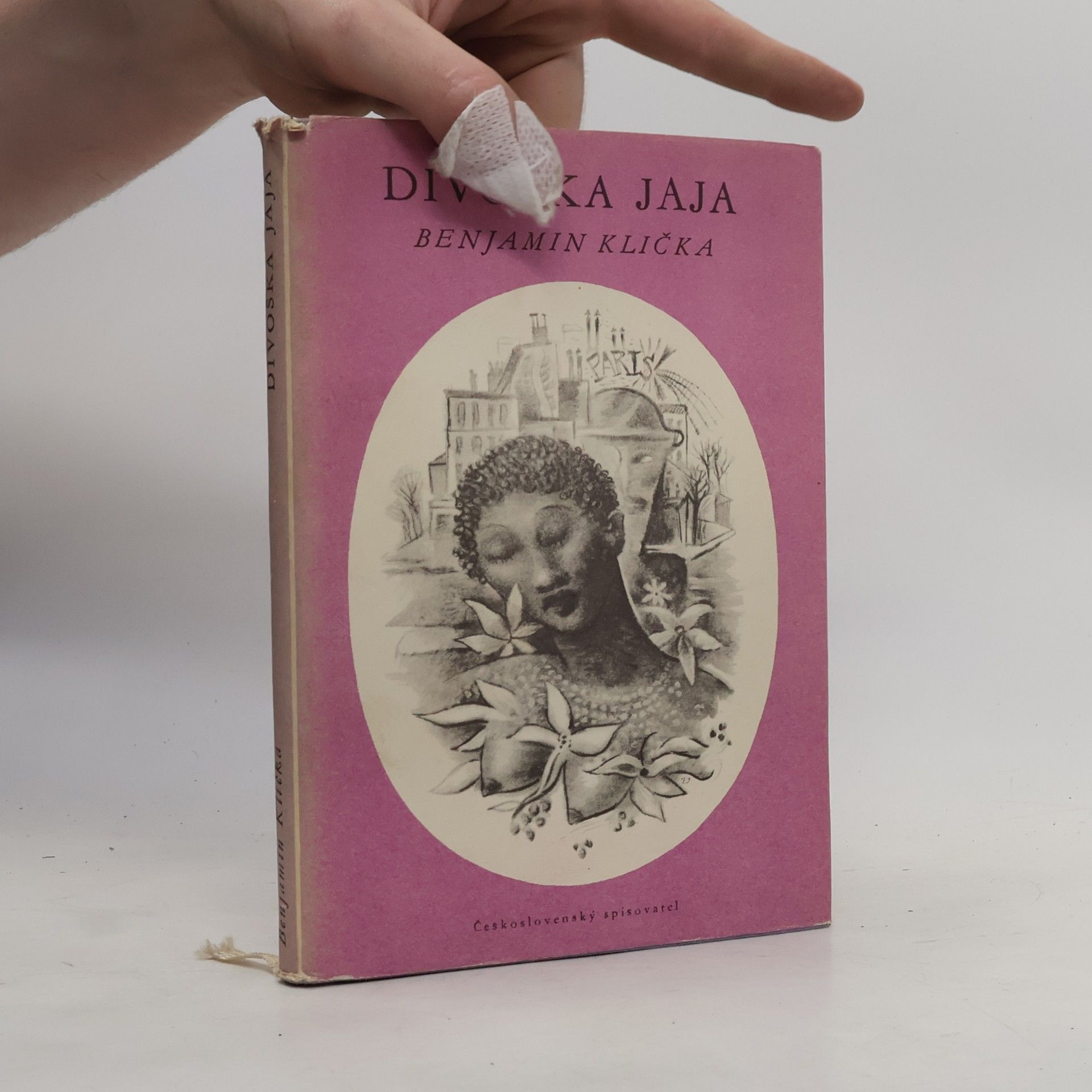 Benjamin Klička Divoška Jaja