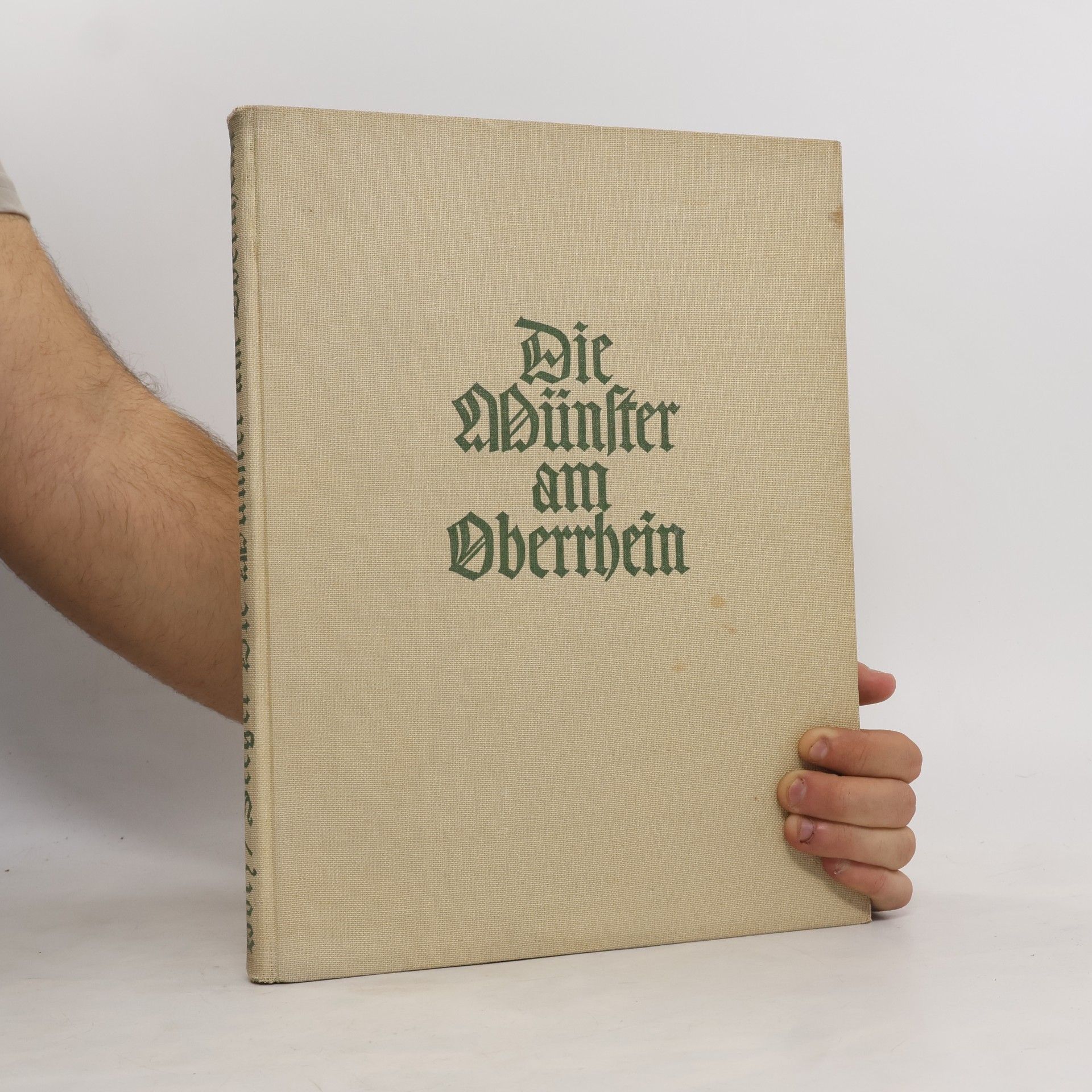 Theodor Seeger Die Münster am Oberrhein