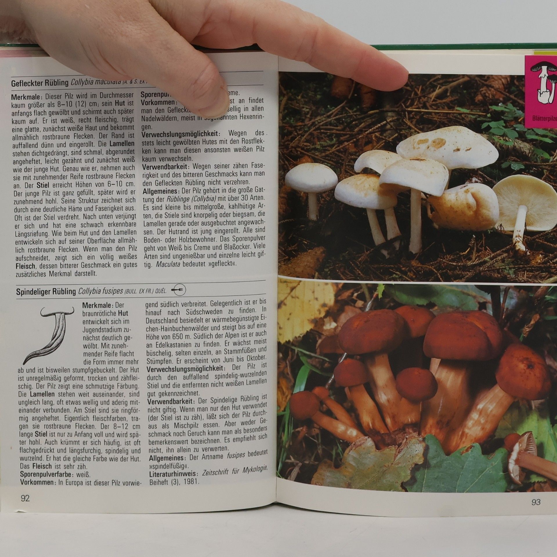 Kolektiv autorů Pilze