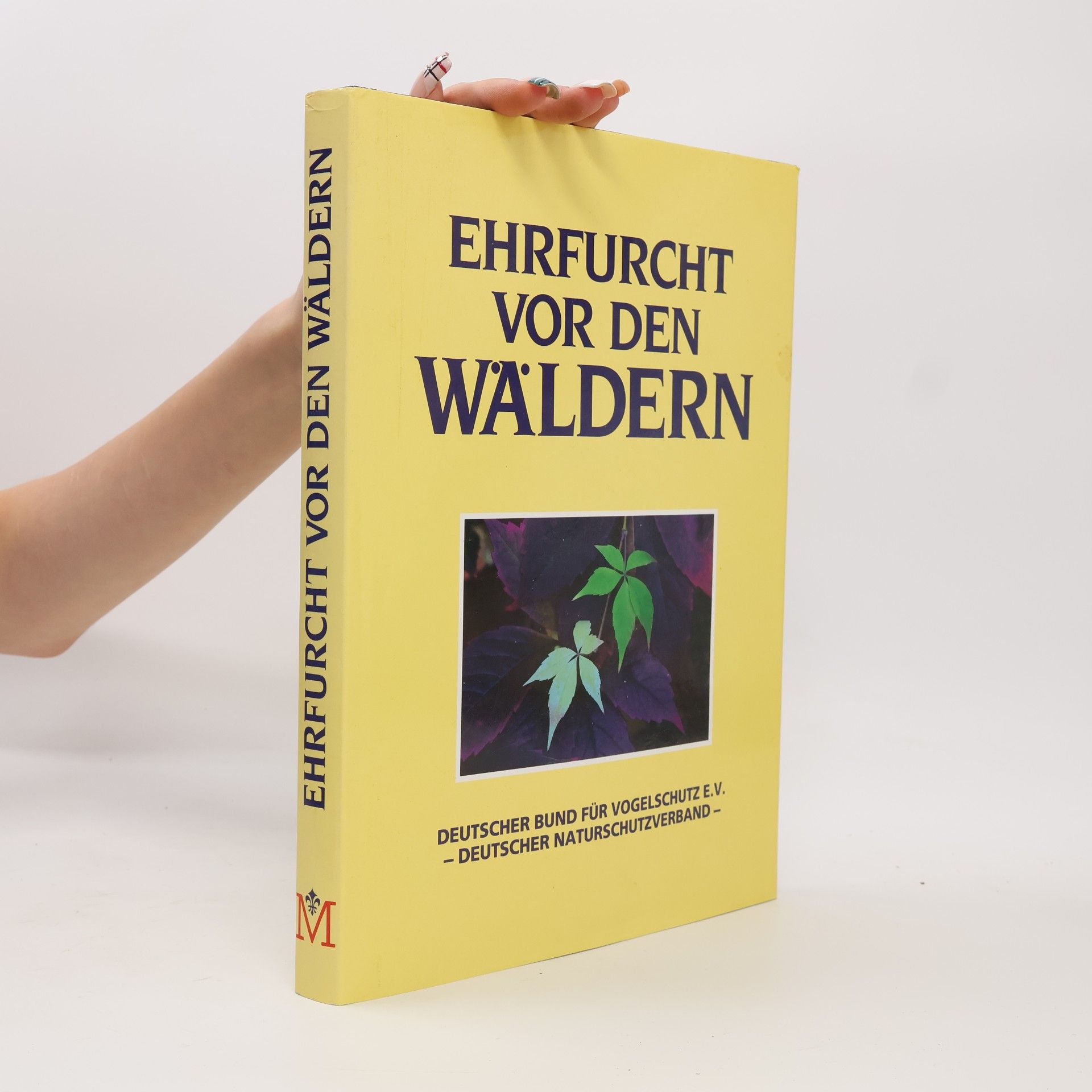 Autores varios Ehrfurcht vor den Wäldern