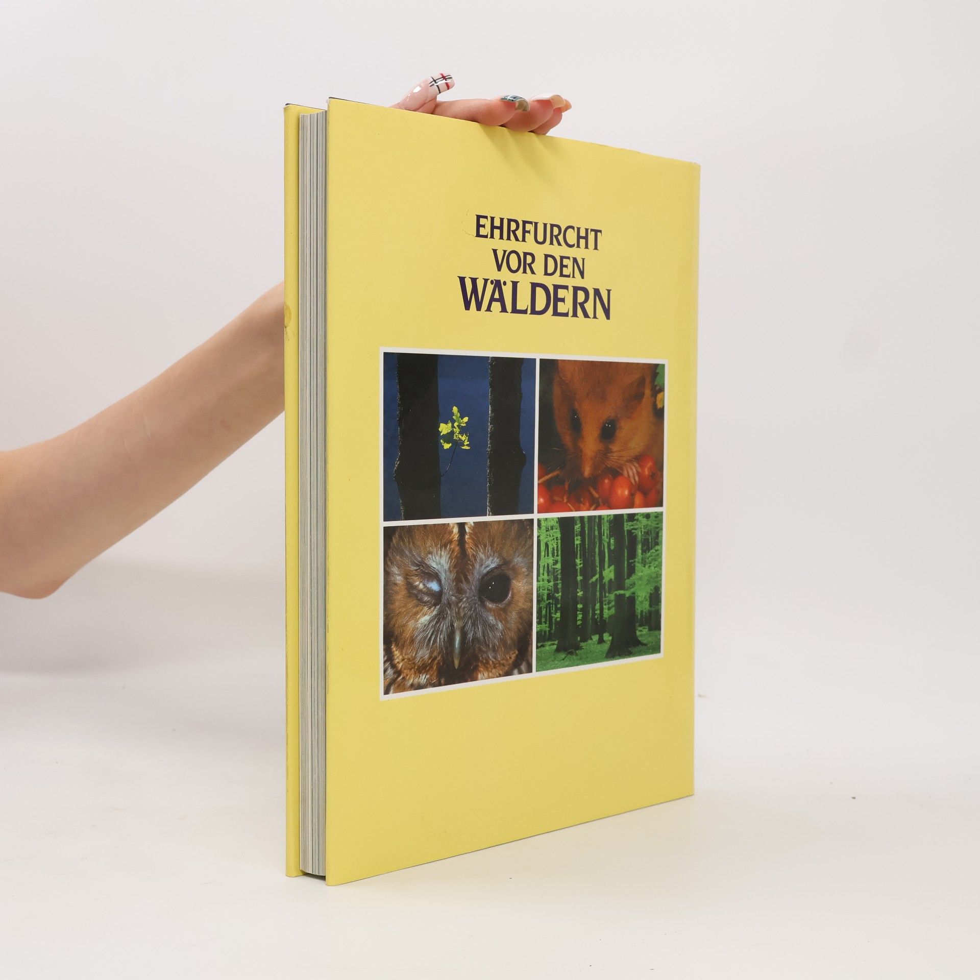 Autores varios Ehrfurcht vor den Wäldern