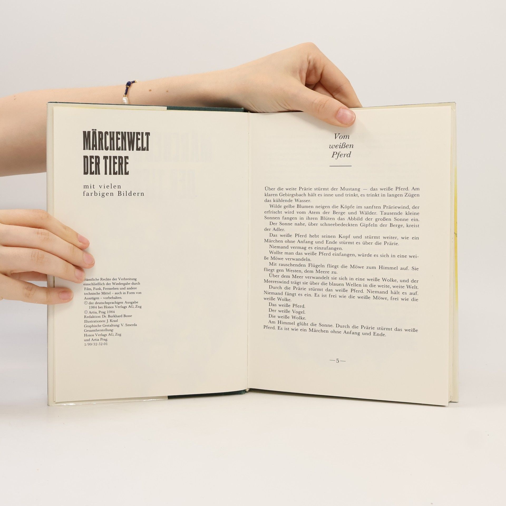 Autorenkollektiv Märchenwelt der Tiere